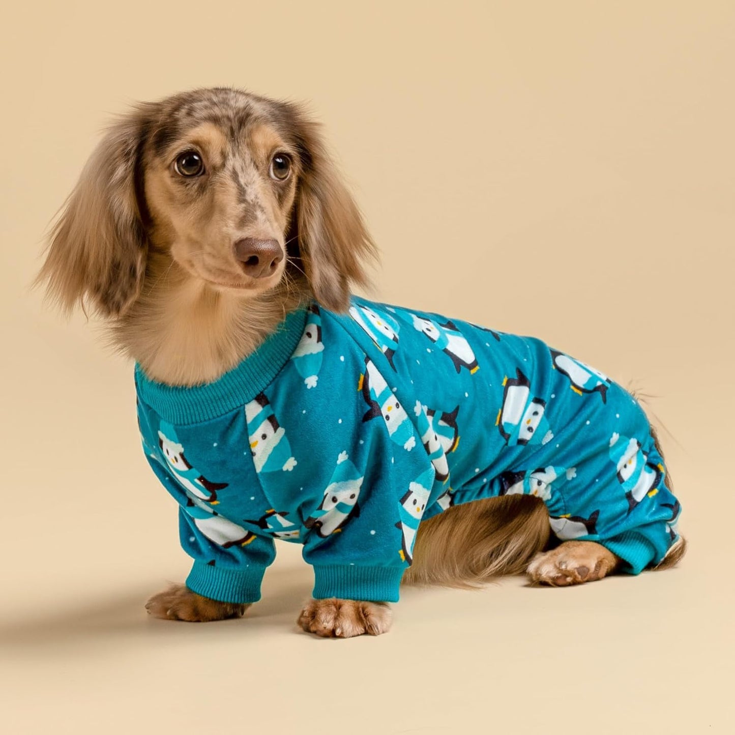 Fitwarm Cute Penguin Dog Pajamas, Dog Winter Clothes for Small Dogs Girl Boy, Cozy Dog Onesie, Soft Pet Jammies, Doggy Apparel, Teal Blue, XXL