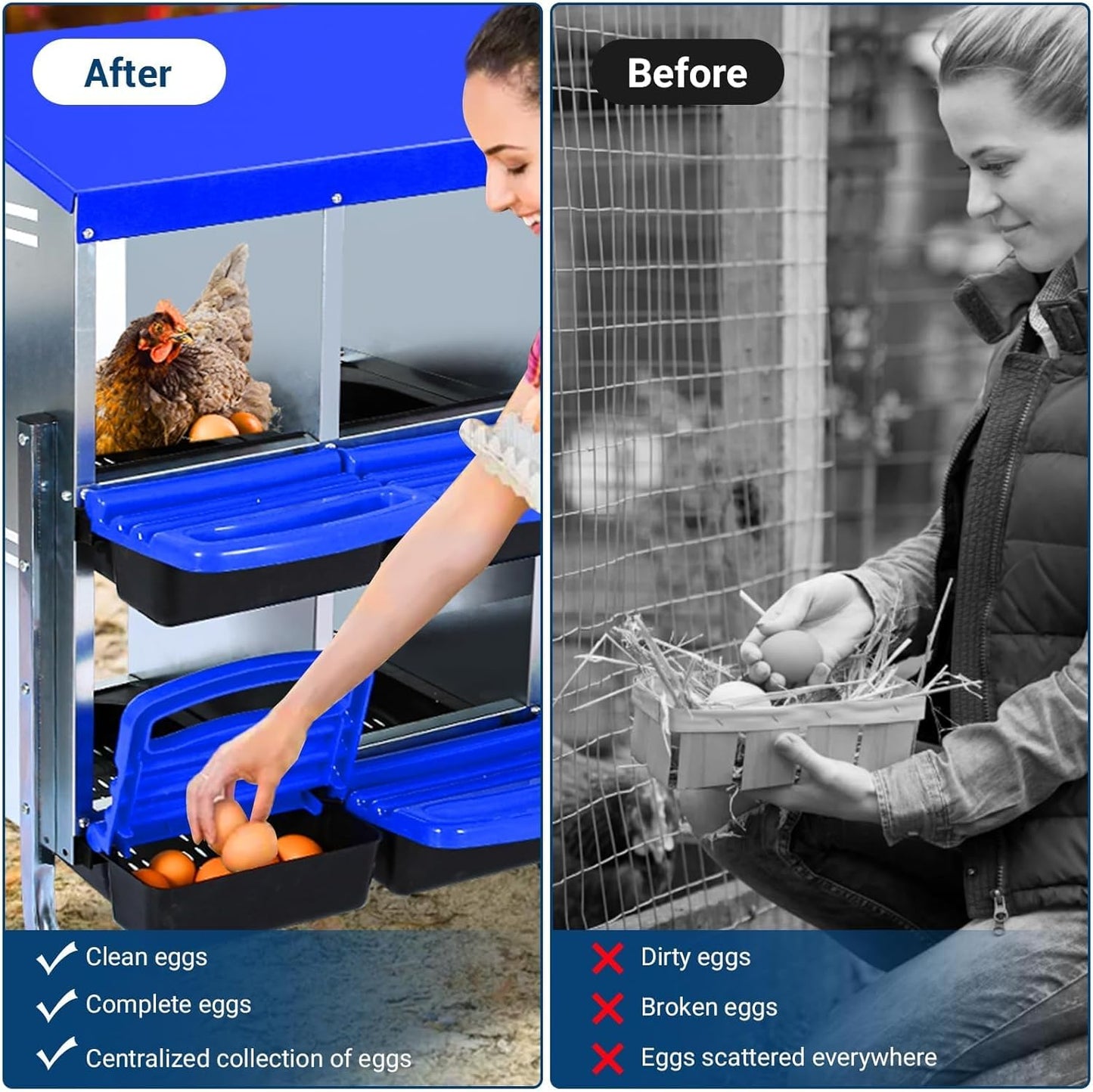 Chicken Nesting Boxes, 10 Hole Metal Chicken Laying Box with with Removable Trays and Roll Out Egg Collection for Chicken Coop, Blue