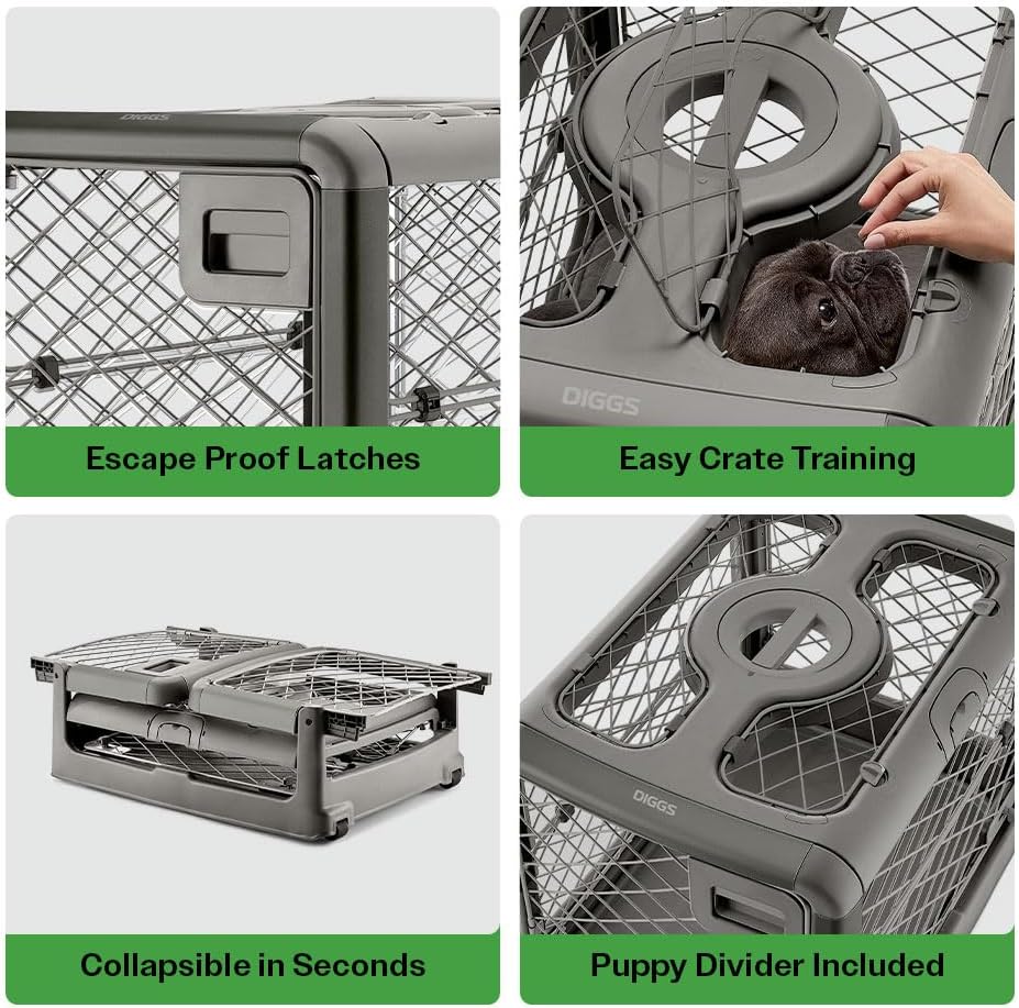 DIGGS Revol Collapsible Dog Crate with Wheels - Premium Portable Dog Crate - Safe, Stylish, and Convenient Indoor Kennel (Smoke, Small)