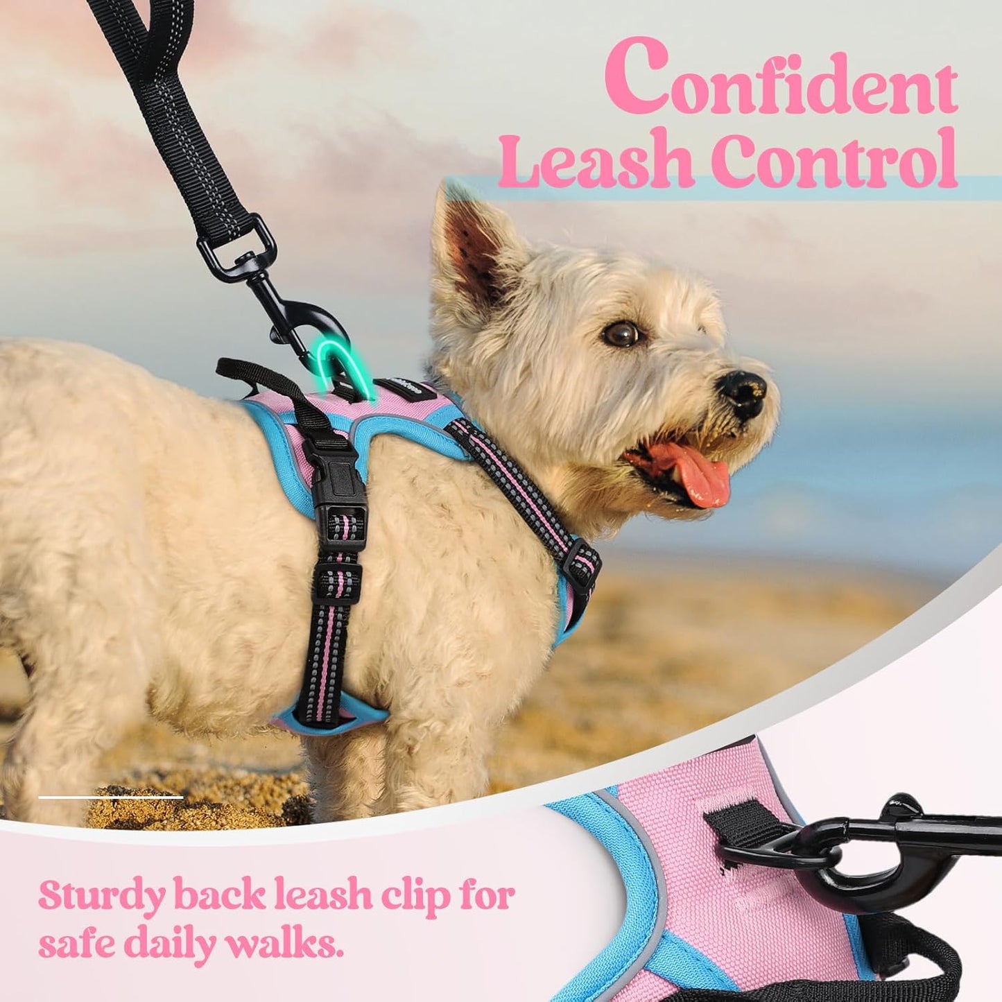 rabbitgoo Dog Harness No Pull with 2 Leash Clips, Adjustable Soft Padded, Reflective Oxford No Choke Pet Vest with Easy Control Handle for Puppy, Pink & Blue, XS