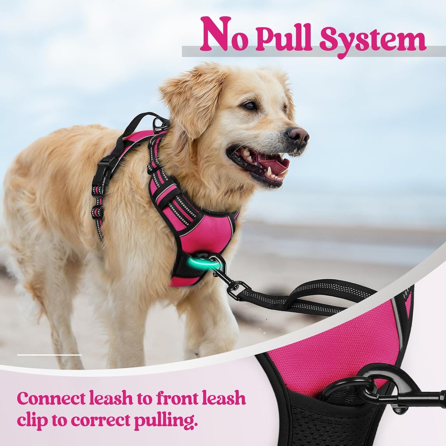 rabbitgoo Dog Harness No Pull with 2 Leash Clips, Adjustable Soft Padded, Reflective Oxford No Choke Pet Vest with Easy Control Handle for Large Dogs, Hot Pink, L