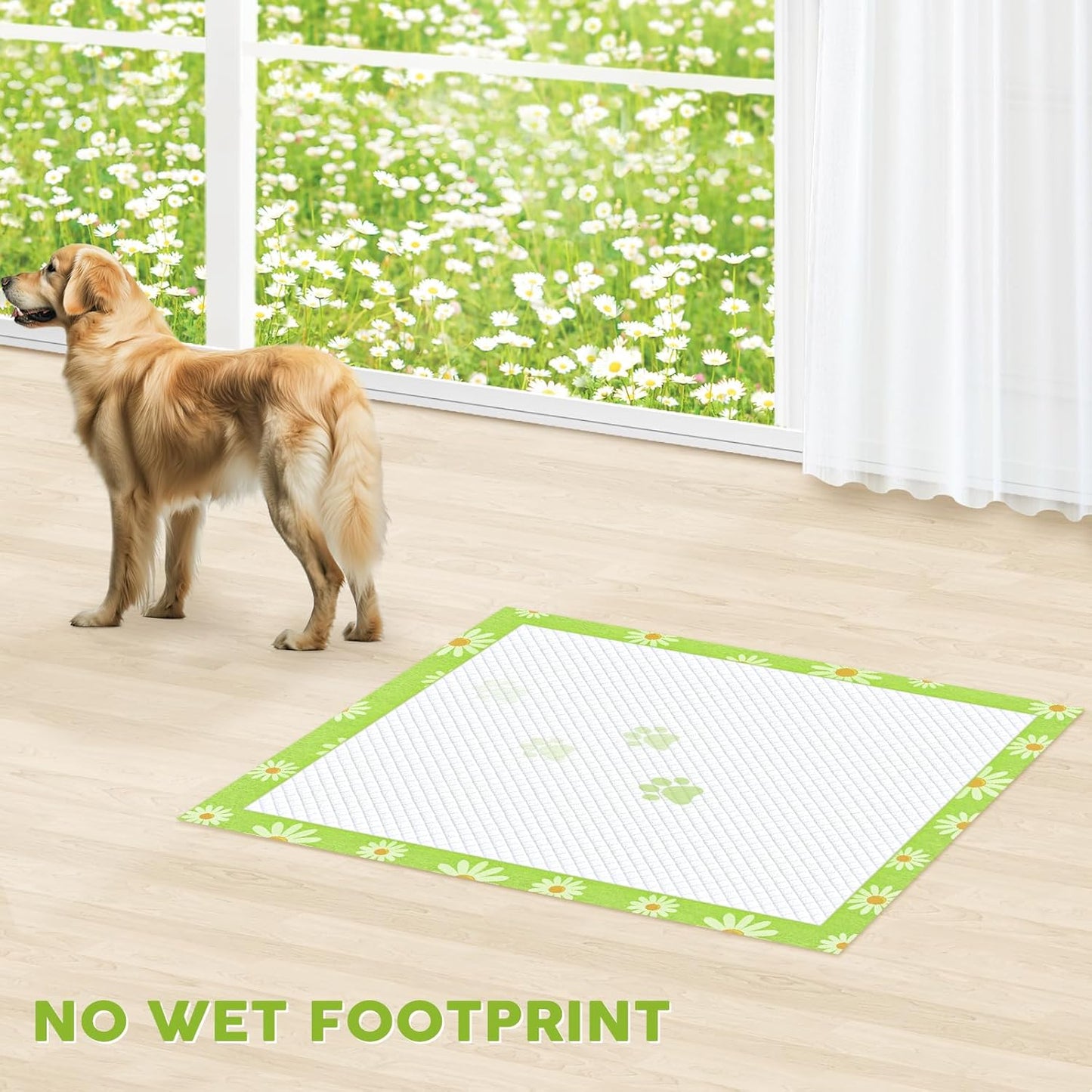 CROCI Pee Pads for Dogs 28x34in Daisy Pattern, Puppy Pads with Adhesive Tabs Super Absorbent Up to 8 Cups, Disposable (40 Counts)