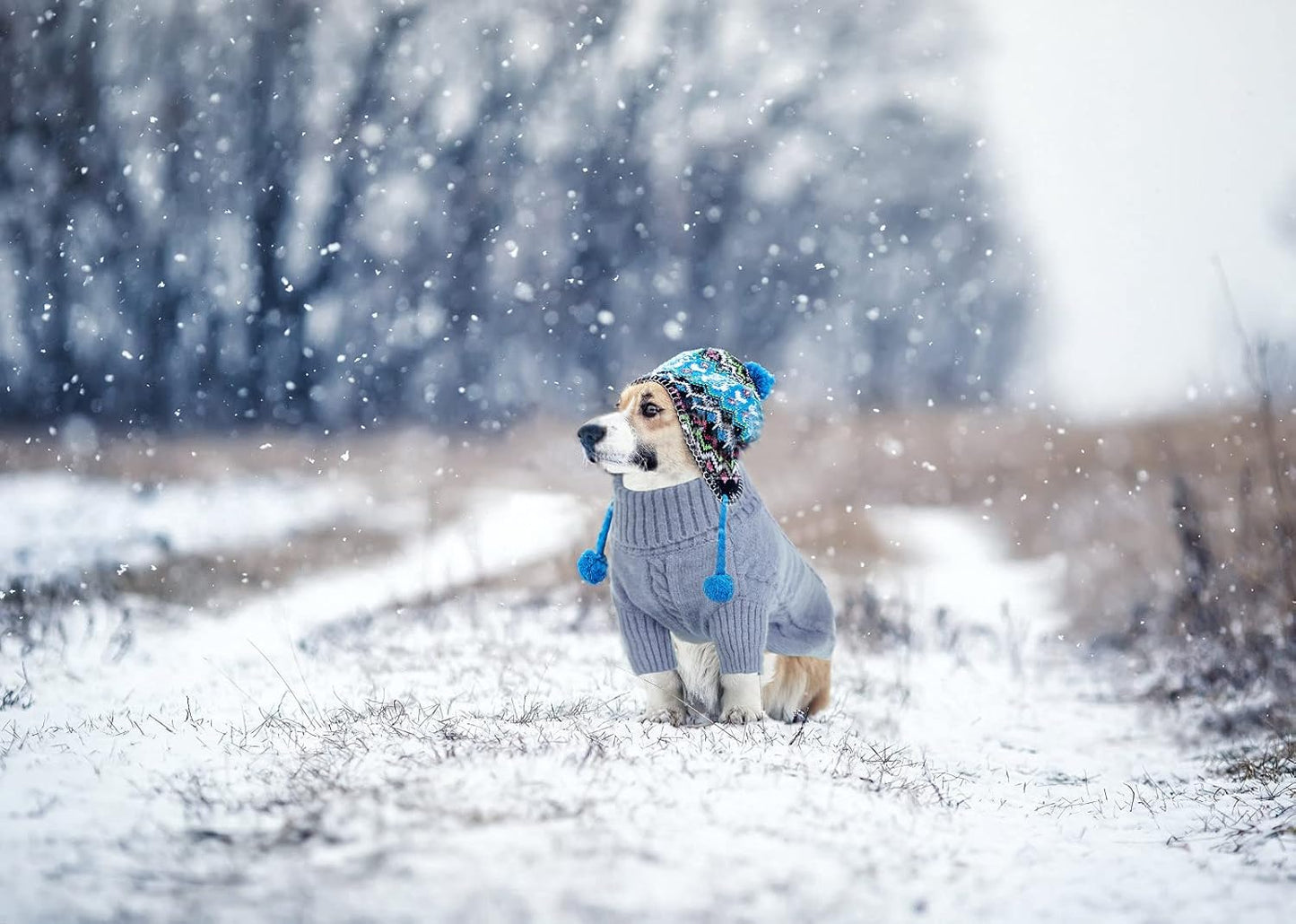 Queenmore Small Dog Pullover Sweater, Cold Weather Cable Knitwear, Classic Turtleneck Thick Warm Clothes for Chihuahua, Bulldog, Dachshund, Pug, Yorkie (Grey, Small)