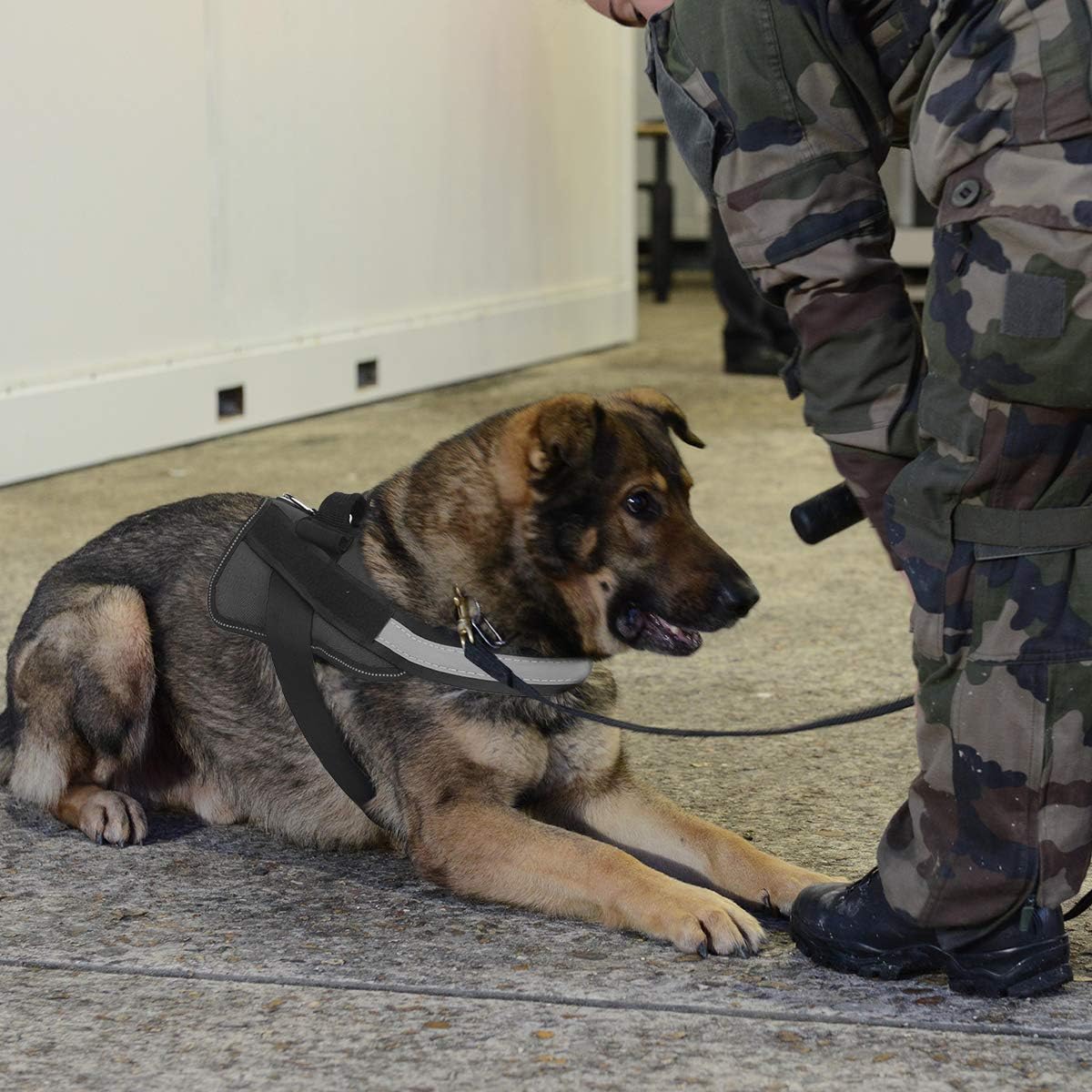 Bolux Dog Harness, No-Pull Reflective Dog Vest, Breathable Adjustable Pet Harness with Handle for Outdoor Walking - No More Pulling, Tugging or Choking (Black, L)