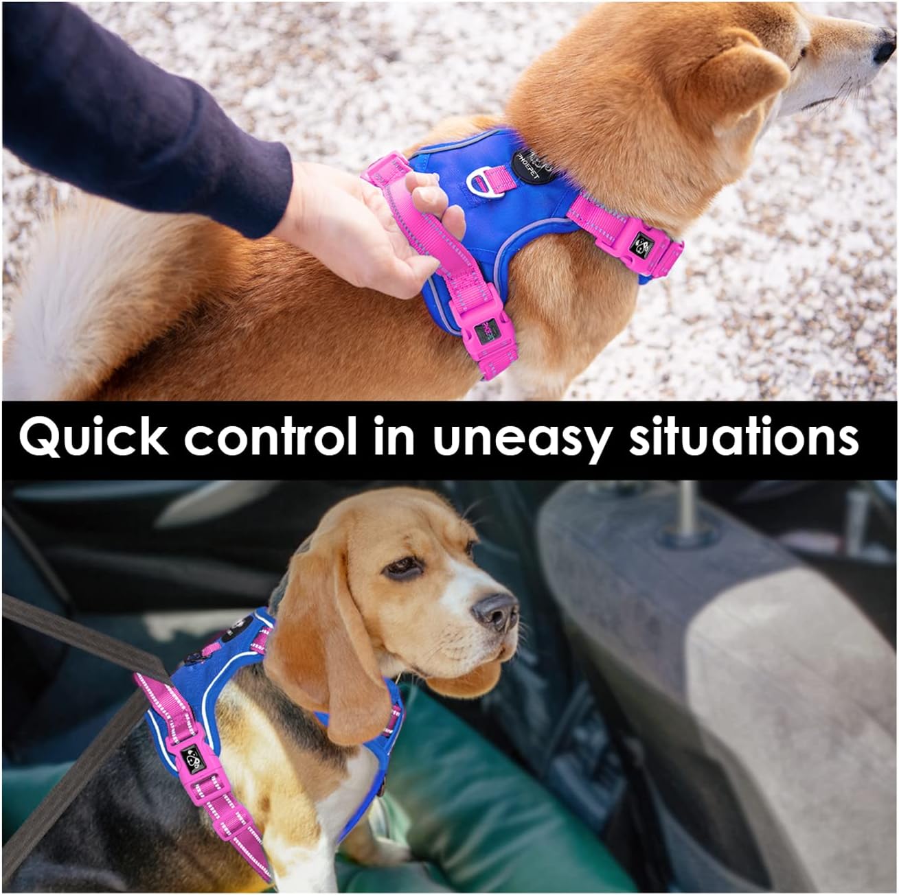 PHOEPET No Pull Dog Harness, Unique Colors Reflective Adjustable Dog Vest, with Soft Training Handle Metal Clips for Small Medium Large Dogs (Royal Blue Base & Pink Straps,L)