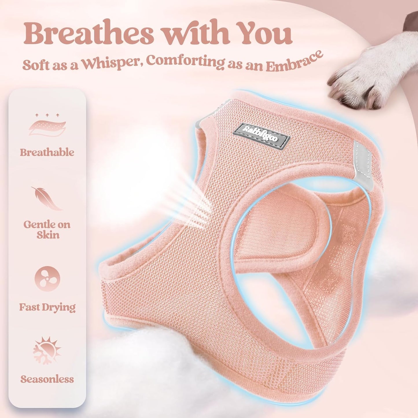 rabbitgoo Dog Harness Small Sized and Leash Set, Step in Soft Light Puppy Vest, Breathable Mesh Pet Harness, Reflective for Safe Outdoor Walking, Pink S