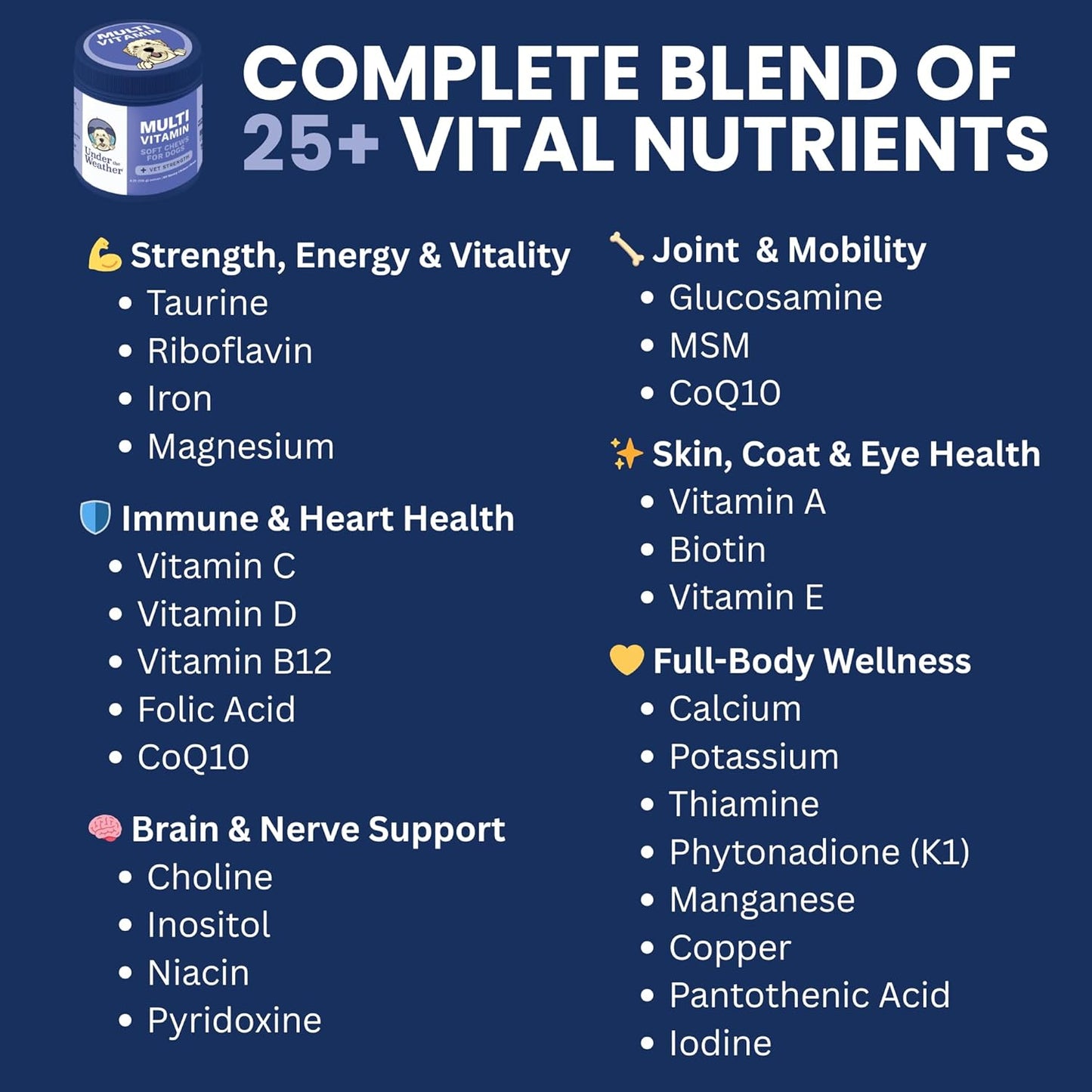 Under the Weather Multivitamin for Dogs | Vet Formulated Daily Canine Health Supplies for Immunity, Skin, Coat & Joint Support | All-in-One Multivitamin for Dogs of All Breeds & Sizes | 60 Count