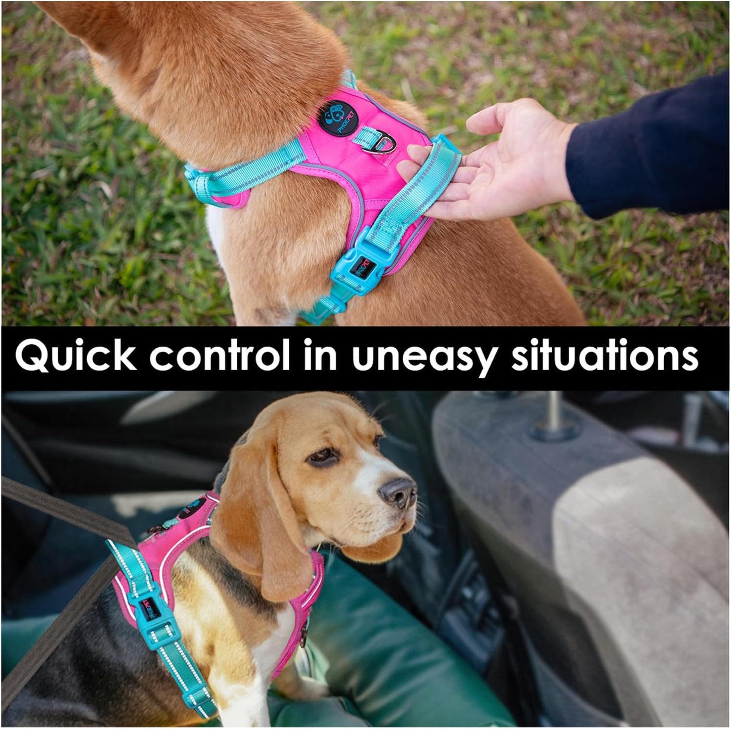 PHOEPET No Pull Dog Harness, Unique Colors Reflective Adjustable Dog Vest, with Soft Training Handle Metal Clips for Small Medium Large Dogs (Pink Base & Green Straps,XL)