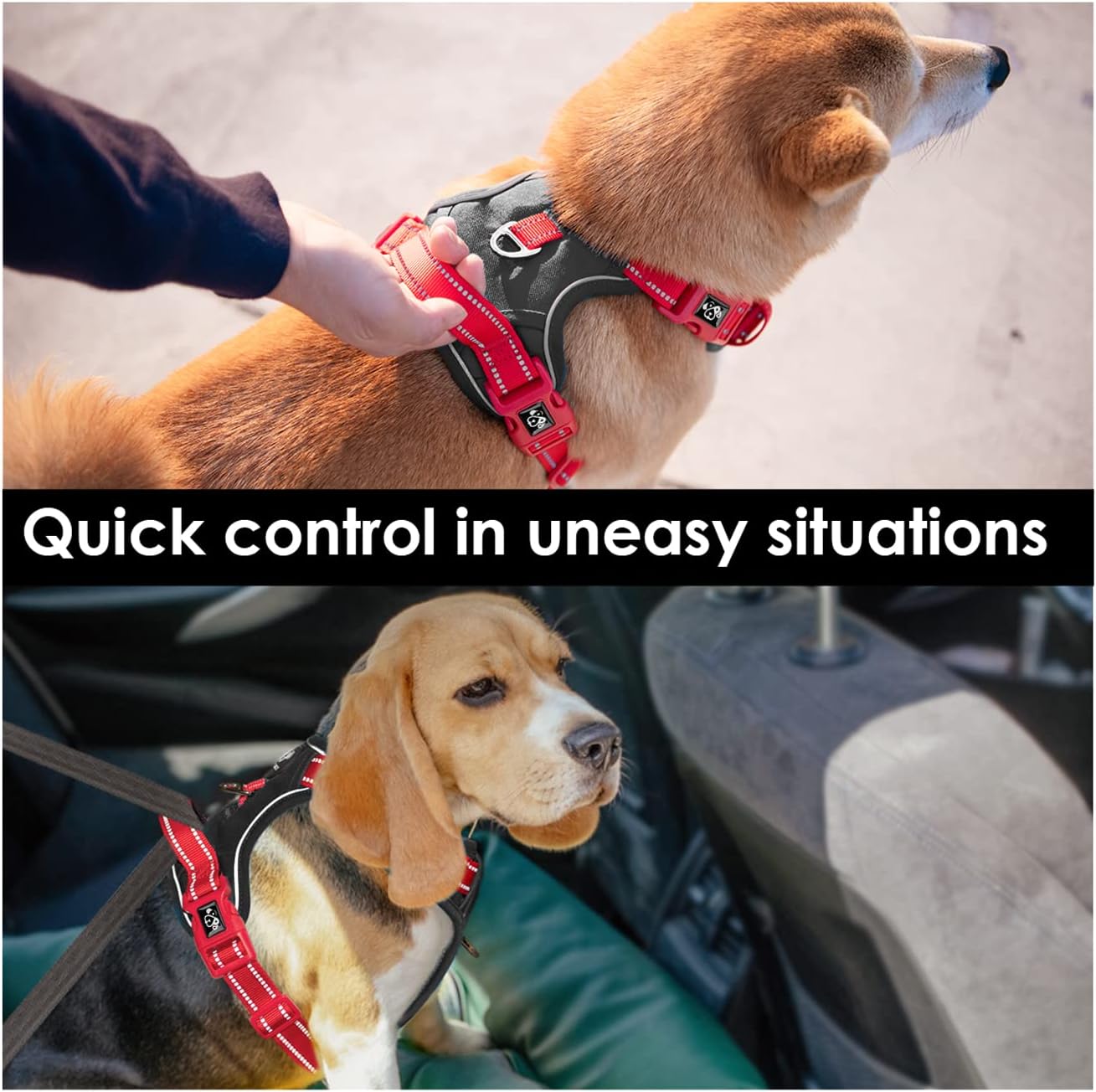 PHOEPET No Pull Dog Harness, Unique Colors Reflective Adjustable Dog Vest, with Soft Training Handle Metal Clips for Small Medium Large Dogs (Black Base & Red Straps,S)