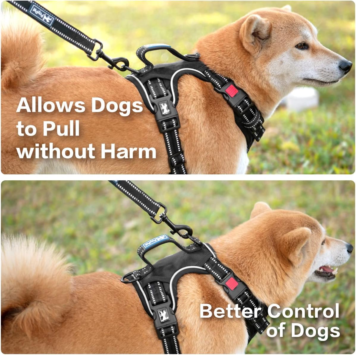 PoyPet No Pull Dog Harness, No Choke Front Clip Reflective Dog Vest with Soft Padded Vertical Handle, 3 Leash Attachments for Small Medium Large Dogs (Black,M)