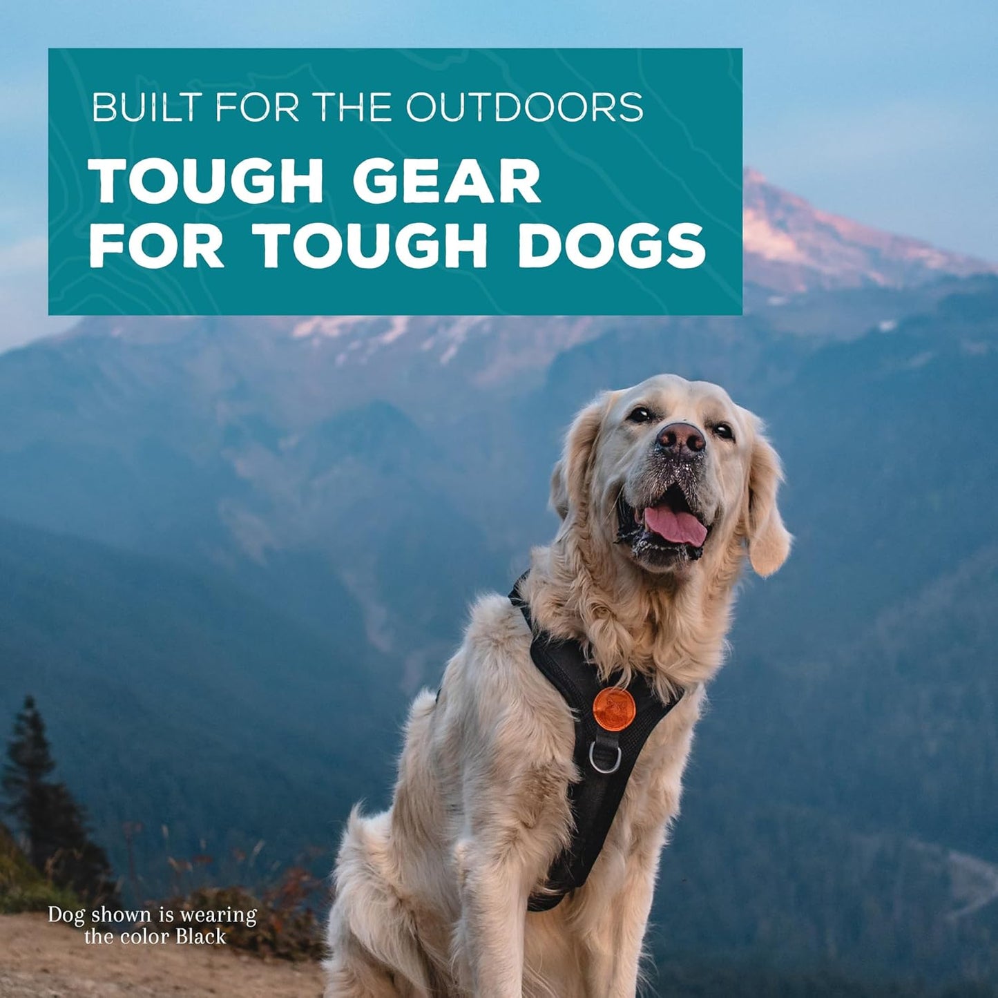 Wilderdog Lightweight Dog Harness with Reflective Straps - Large - Black