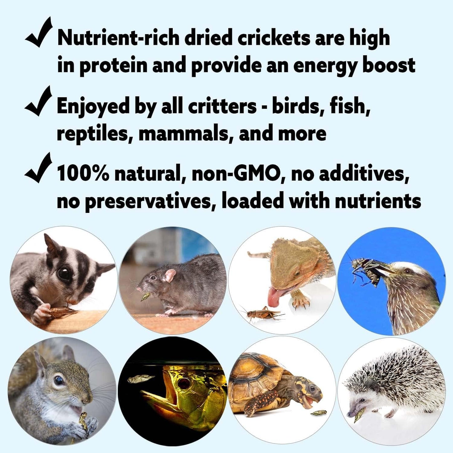 1 Pound Dried Crickets - High Protein Insect Treat - Chickens, Wild Birds, Hedgehogs, Bluebirds, Reptiles, Sugar Gliders, Opossums, Skunks, Lizards, Bearded Dragons, Fish, Turtles 8 oz. (2 Pack)