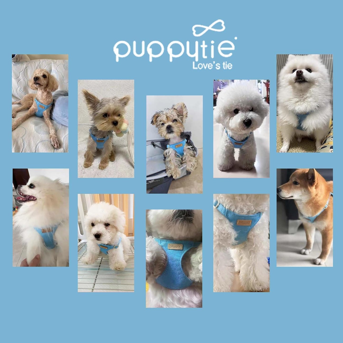 Puppytie No Pull xs Dog Harness with Multifunction Dog Leash,Soft Adjustable No Choke Escape Proof Pet Harness Vest,Ocean Blue,XS