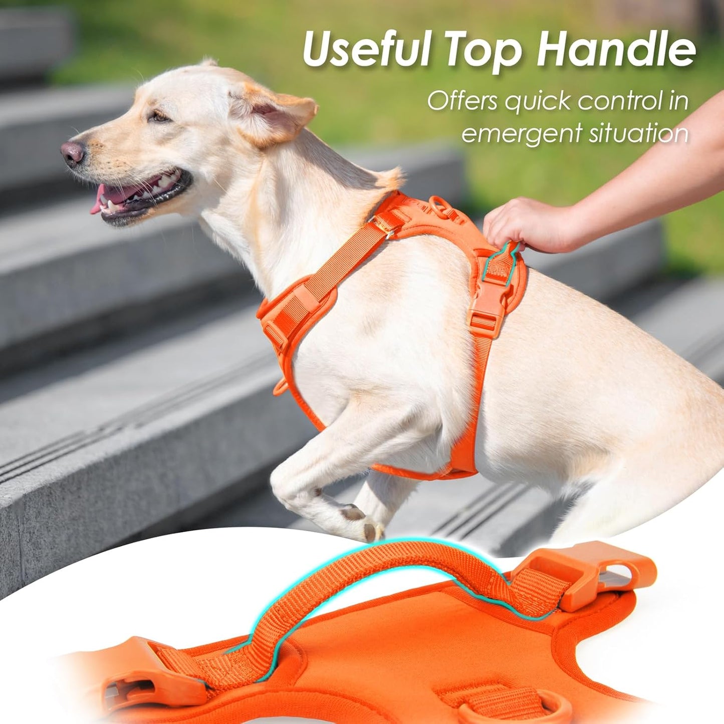 No Pull Dog Harness, Puppy Vest with Front Clip for Small Medium Large Sized Dog(Orange,S)