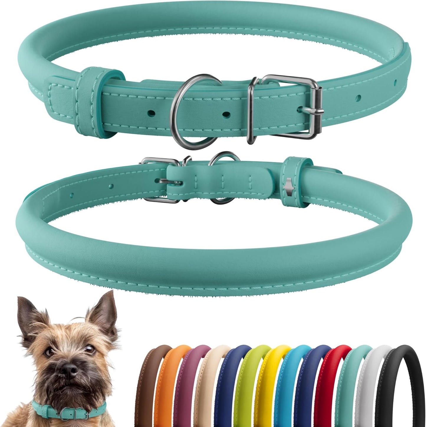 CollarDirect Rolled Leather Dog Collar, Soft Padded Round Puppy Collar, Handmade Genuine Leather Collar Dog Small Large Cat Collars 13 Colors (8-11 Inch, Mint Green Smooth)