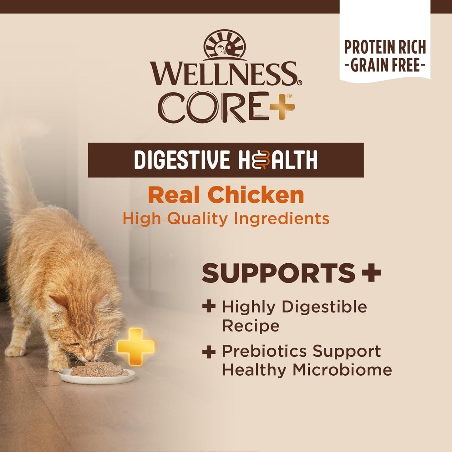 Wellness CORE+ Digestive Health Pate Adult Wet Cat Food, Natural, Protein-Rich, Grain Free, 3 Ounce, 12 Pack (Chicken)