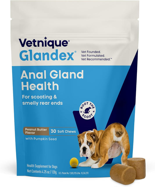 Vetnique Labs Glandex Anal Gland Soft Chew Treats with Pumpkin for Dogs Digestive Enzymes, Probiotics Fiber Supplement for Dogs Boot The Scoot (Peanut Butter Chews, 30 Count)