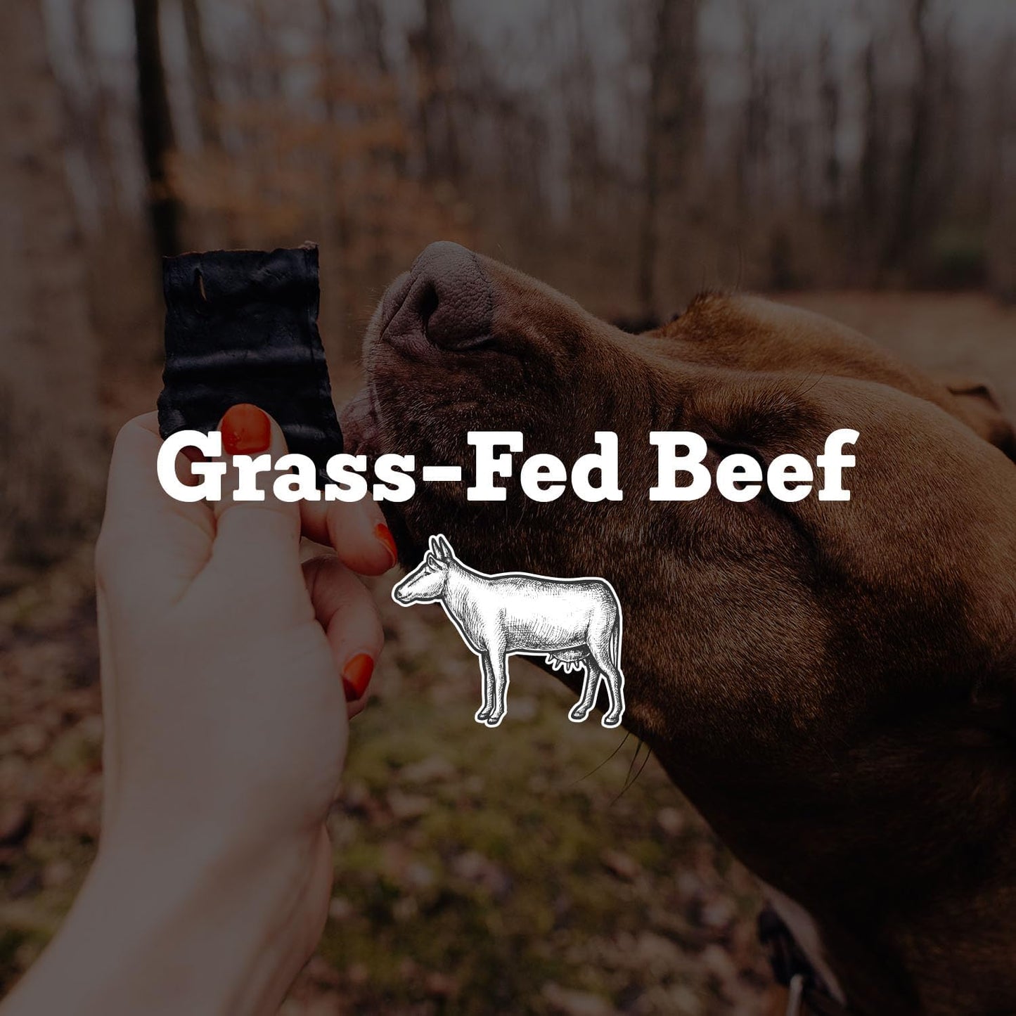 Farm Hounds - Beef Heart - Premium Natural Beef Heart Jerky for Dogs - Made from 100% Humanely Raised Cattle - Organ Treat - Great for Training & Treats - No Added Fillers - Made in USA - 4oz -2 Pack