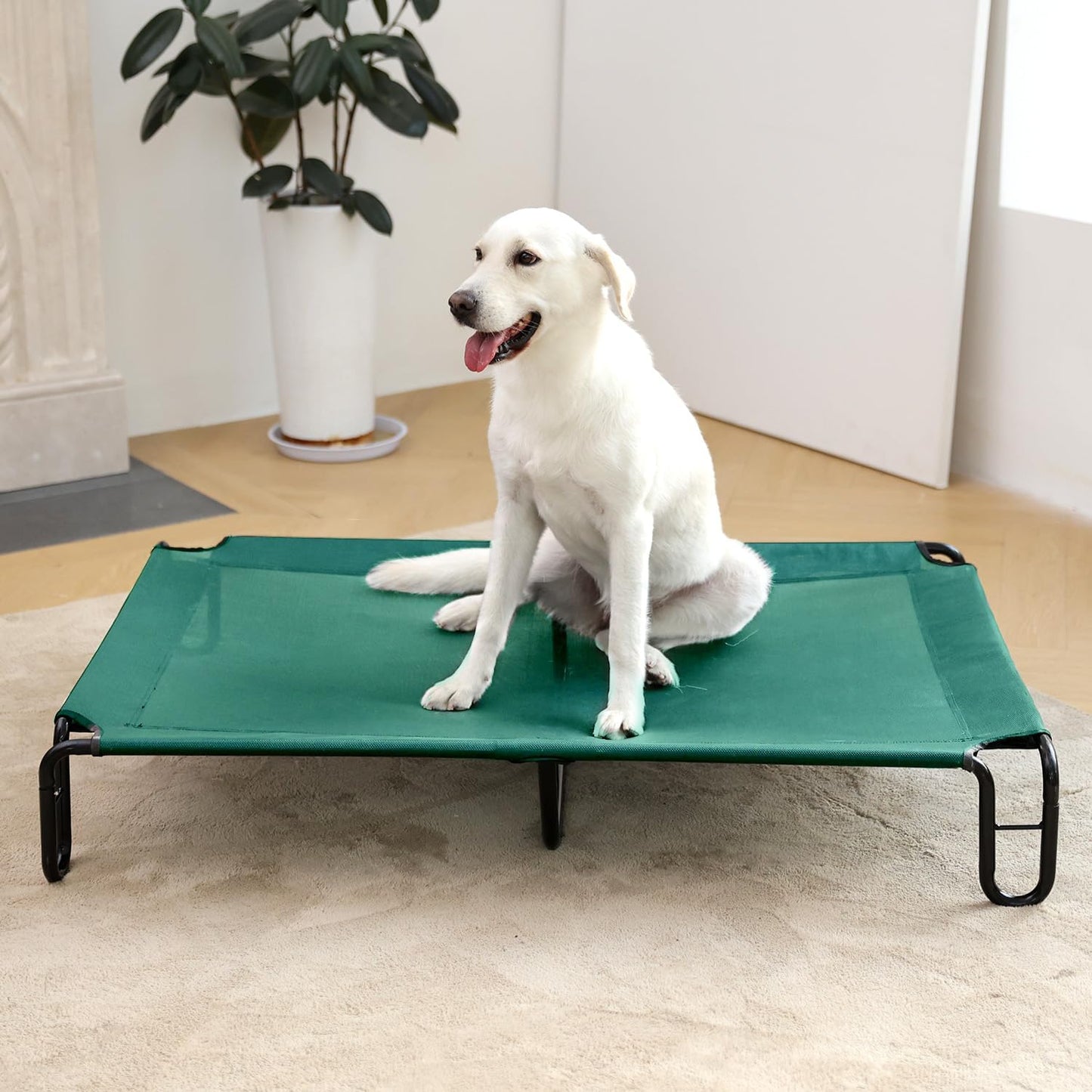 Pettycare Elevated Outdoor Dog Cot - Bed for Large Dogs (XL) Easy Assembly, Waterproof Cooling Dog Bed with Teslin Mesh, Up to 85 lbs, Green