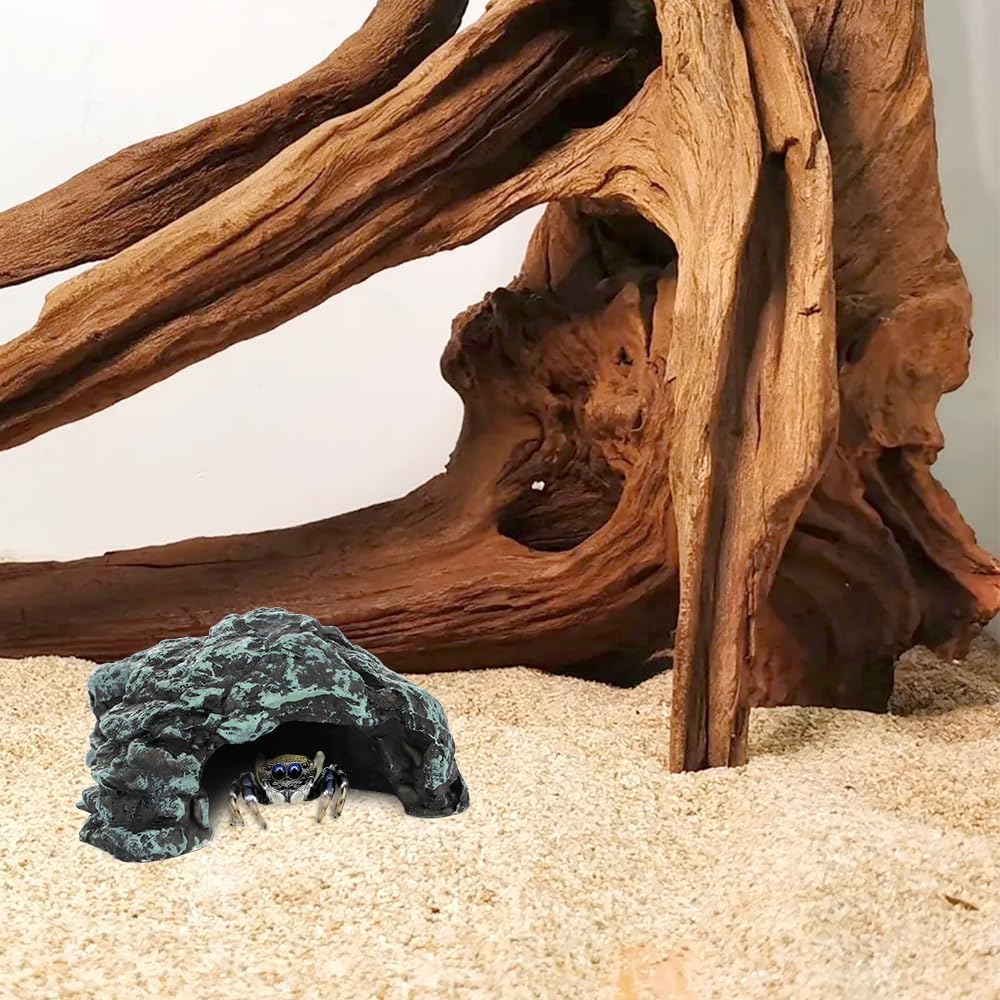 Spider Hide Shelter, Scorpion Terrarium Landscape, Centipedes Rest Hideout Cave, Small Turtle Hole Adornment