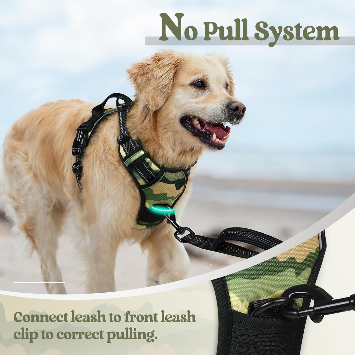 rabbitgoo Dog Harness No Pull with 2 Leash Clips, Adjustable Soft Padded, Reflective Oxford No Choke Pet Vest with Easy Control Handle for Large Dogs, Green Mountain, M