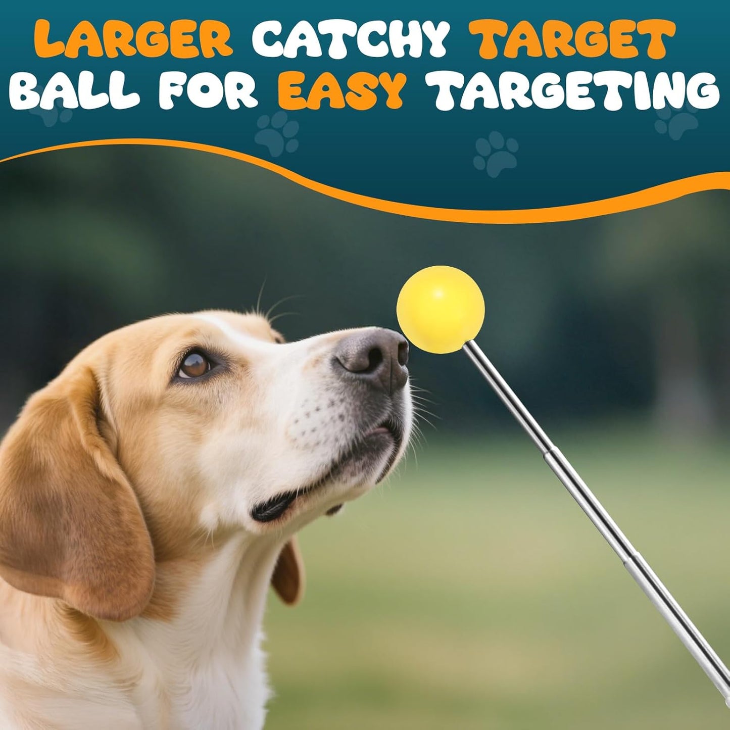 Dog Training Clicker with Target Stick – Portable & Retractable Trainer with Comfortable Handle and Bright Target Ball – Dog Agility Training Aids, Essential Tools & Equipment for Puppies, Cats & Pets