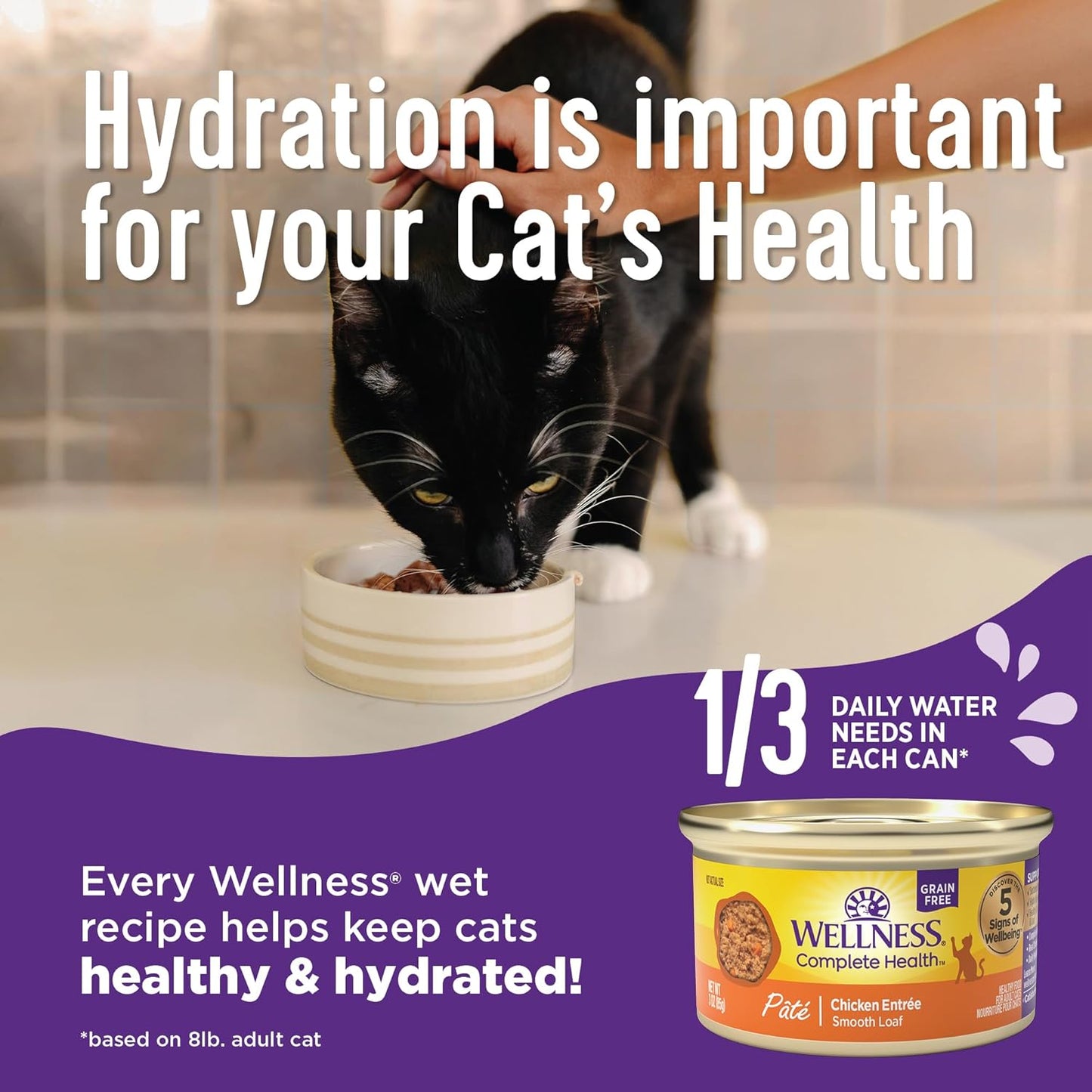Wellness Complete Health Pate Kitten Wet Cat Food Canned Food, Natural, Protein-Rich, Grain Free, 3 Ounce Cans, 24 Pack, (Whitefish & Tuna)