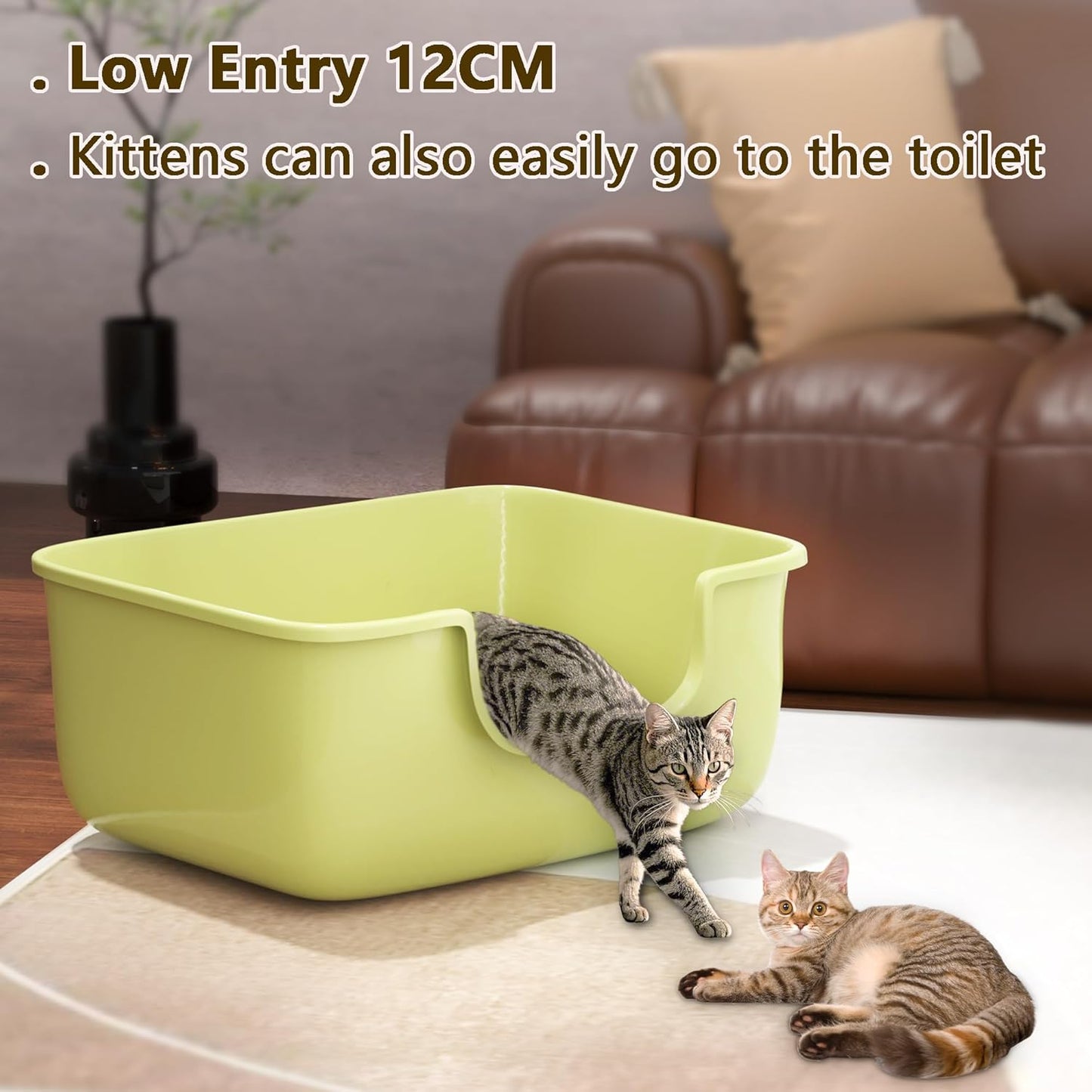 Large Cat Litter Box with High Sides, Open Kitty Litter Boxes Anti-Splashing for Indoor Cat Low Entry Cat Litter Pan for Small and Elderly Cats, Tool-Free Assembly(19.7” * 15.76” * 8.67” Green)