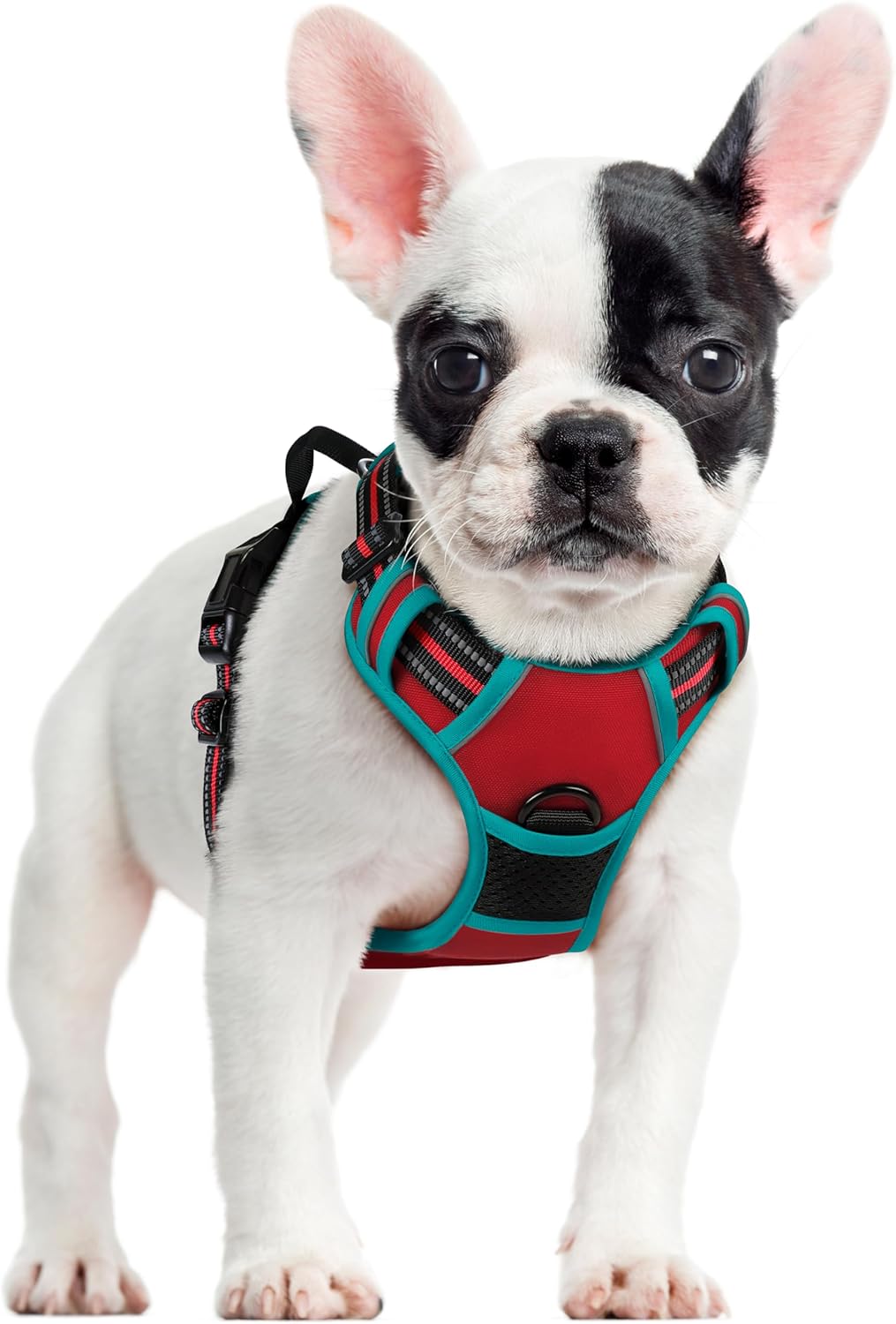 rabbitgoo Dog Harness No Pull with 2 Leash Clips, Adjustable Soft Padded, Reflective Oxford No Choke Pet Vest with Easy Control Handle for Small Dogs, Red & Teal, S