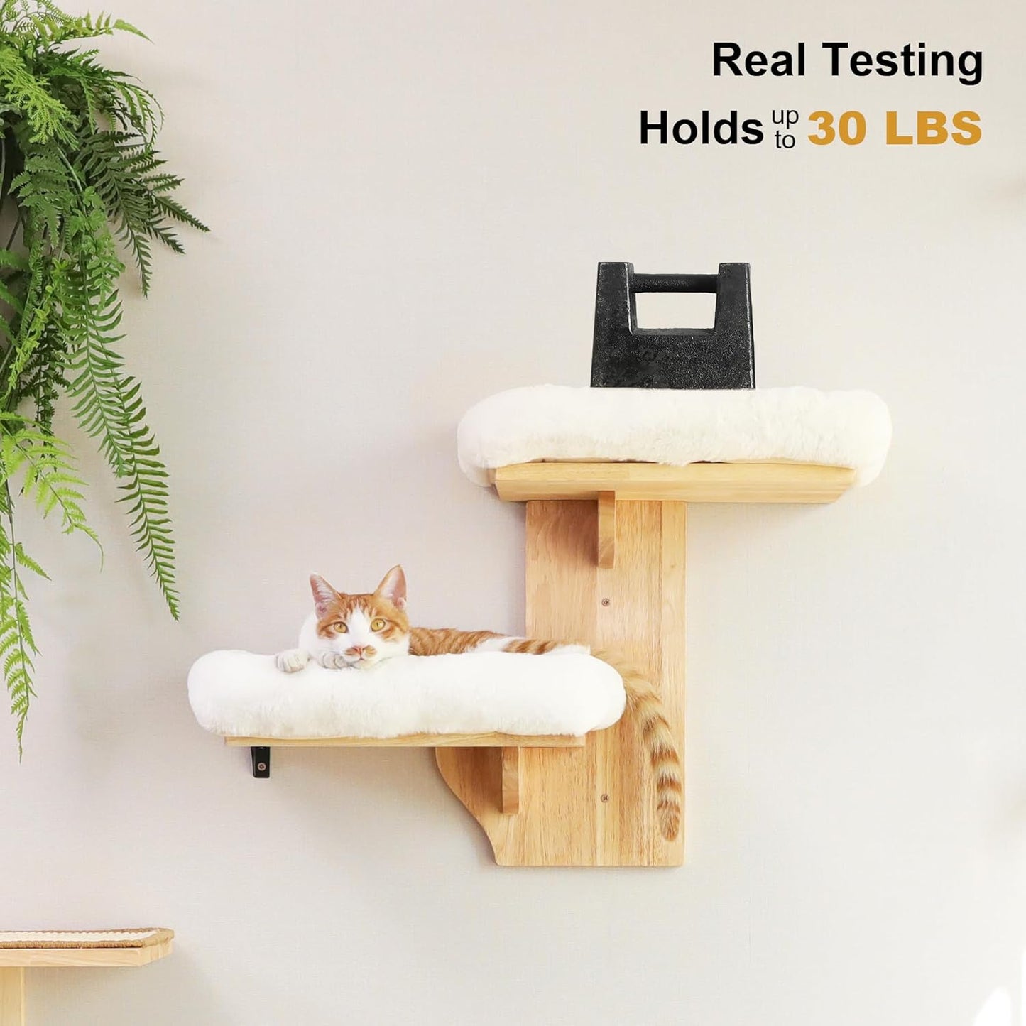 FUKUMARU Cat Wall Shelves, 2 Platform Cats Walls Furniture, Tree Shape Kitten Floating Shelf with Soft Cushion Perch, Solid Rubber Wood for 16 Inch Drywall, Suitable for Climb, Play, Nap