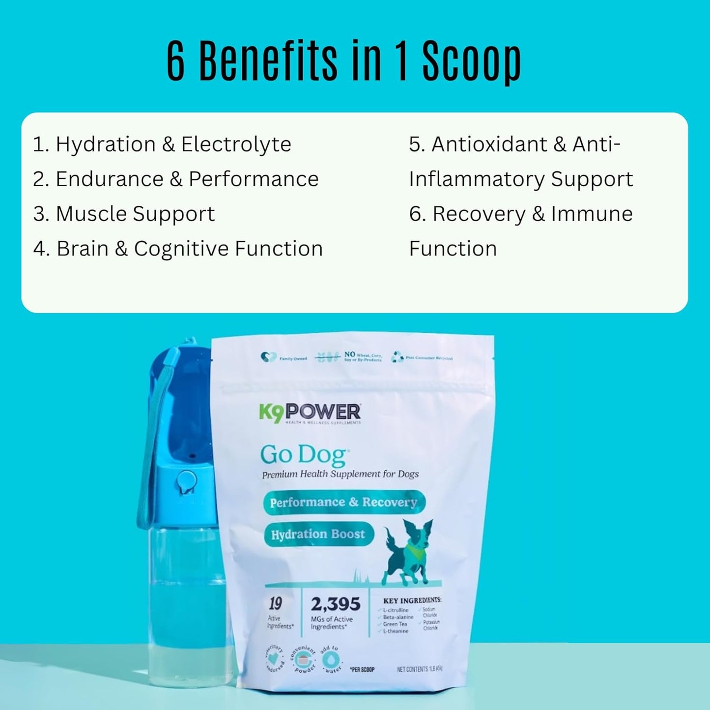 K9 Power Go Dog Hydration & Performance Drink Mix 1 lb - Active Dog Supplement for Muscle Function, Endurance, Recovery, with Electrolytes Support - Pack of 2