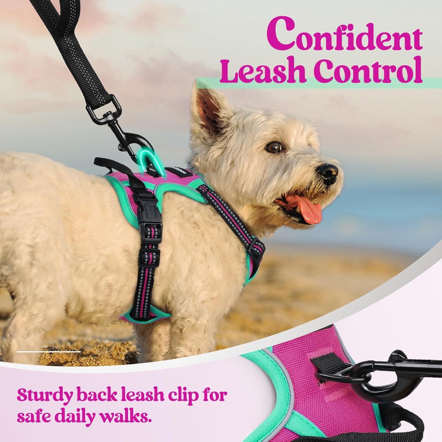 rabbitgoo Dog Harness No Pull with 2 Leash Clips, Adjustable Soft Padded, Reflective Oxford No Choke Pet Vest with Easy Control Handle for Large Dogs, Hot Pink & Turquoise, XS