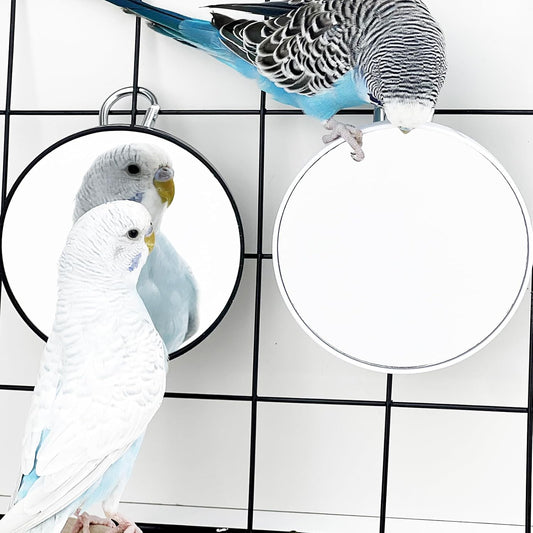 FlidRunest 2PCS Bird Mirror Toy for Cage, 10X Bird Parrot Interactive Playing Cage Toy with Hook, Parrot Toy Bird Cage Mirror for Cockatiel, Parakeets, Lovebirds, Finch, Canaries, Budgie