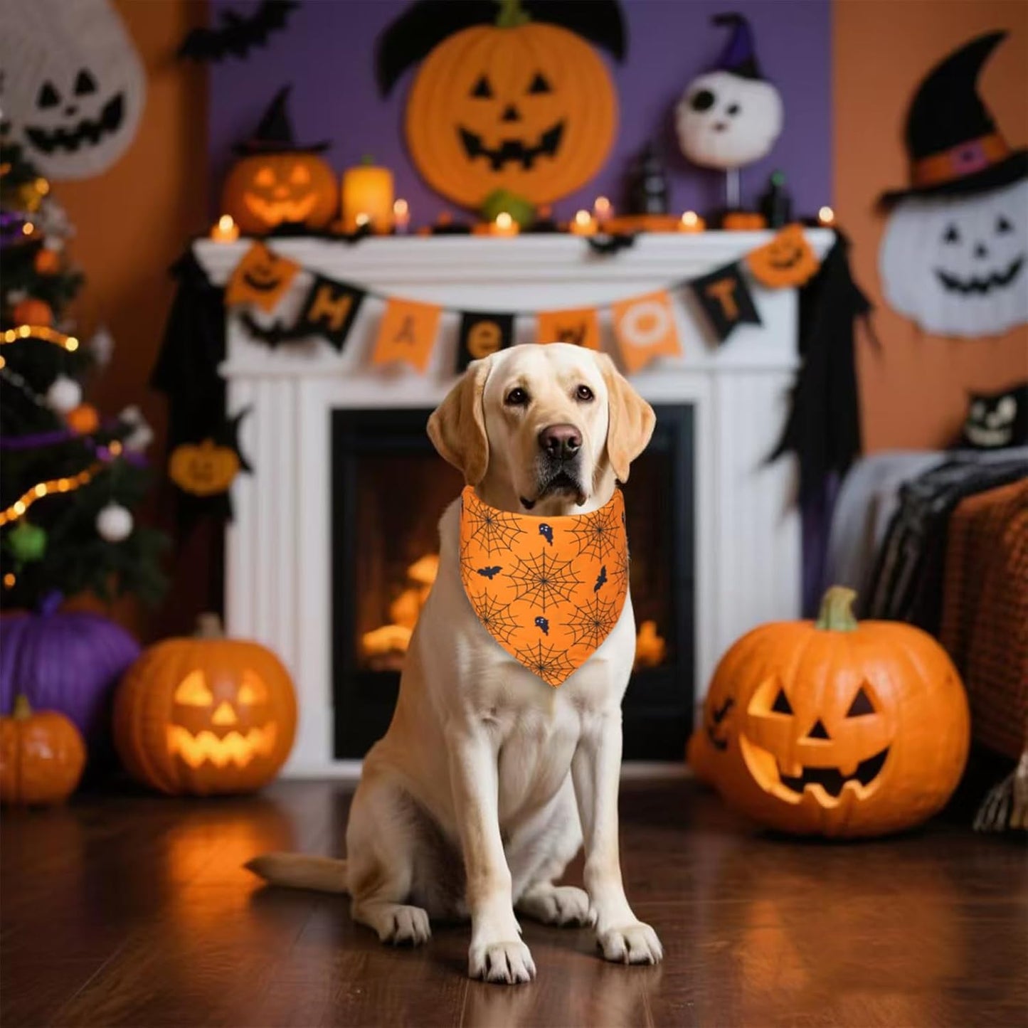 Halloween Dog Bandana for X-Large Dogs - Reversible Orange Jack-o-Lantern & Spiderweb Print Scarf - Soft & Quick-Dry for Costume Parties
