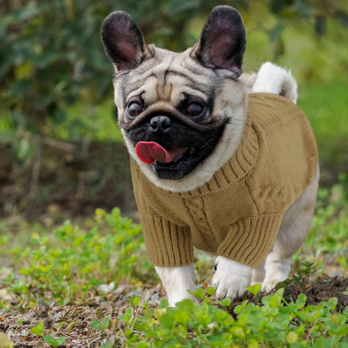 Queenmore Small Dog Pullover Sweater, Cold Weather Cable Knitwear, Classic Turtleneck Thick Warm Clothes for Chihuahua, Bulldog, Dachshund, Pug (Light Brown, Medium)