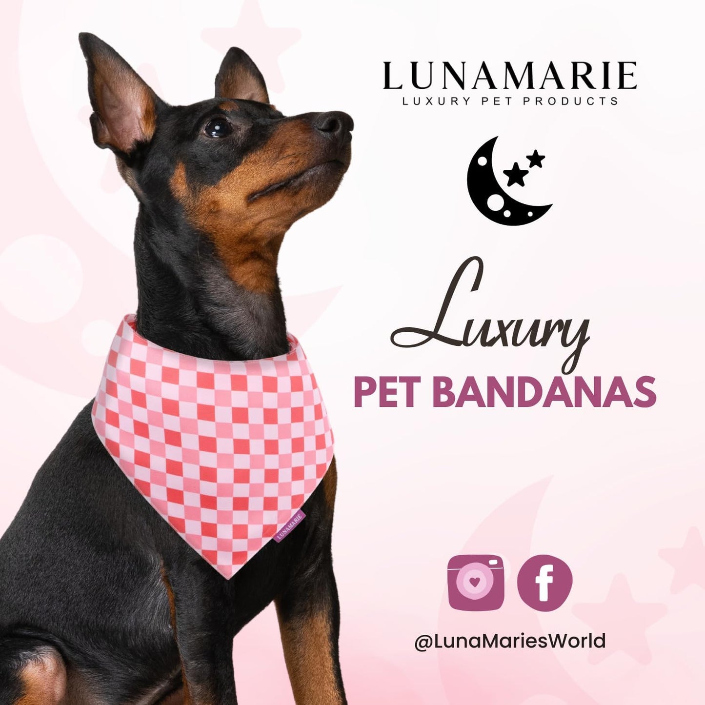 LunaMarie - Luxury Pet Birthday Bandanas -Premium & Silky Poly Fabric | 100% Handmade | Custom Shape Dual Layered (Rebel, X-Small)