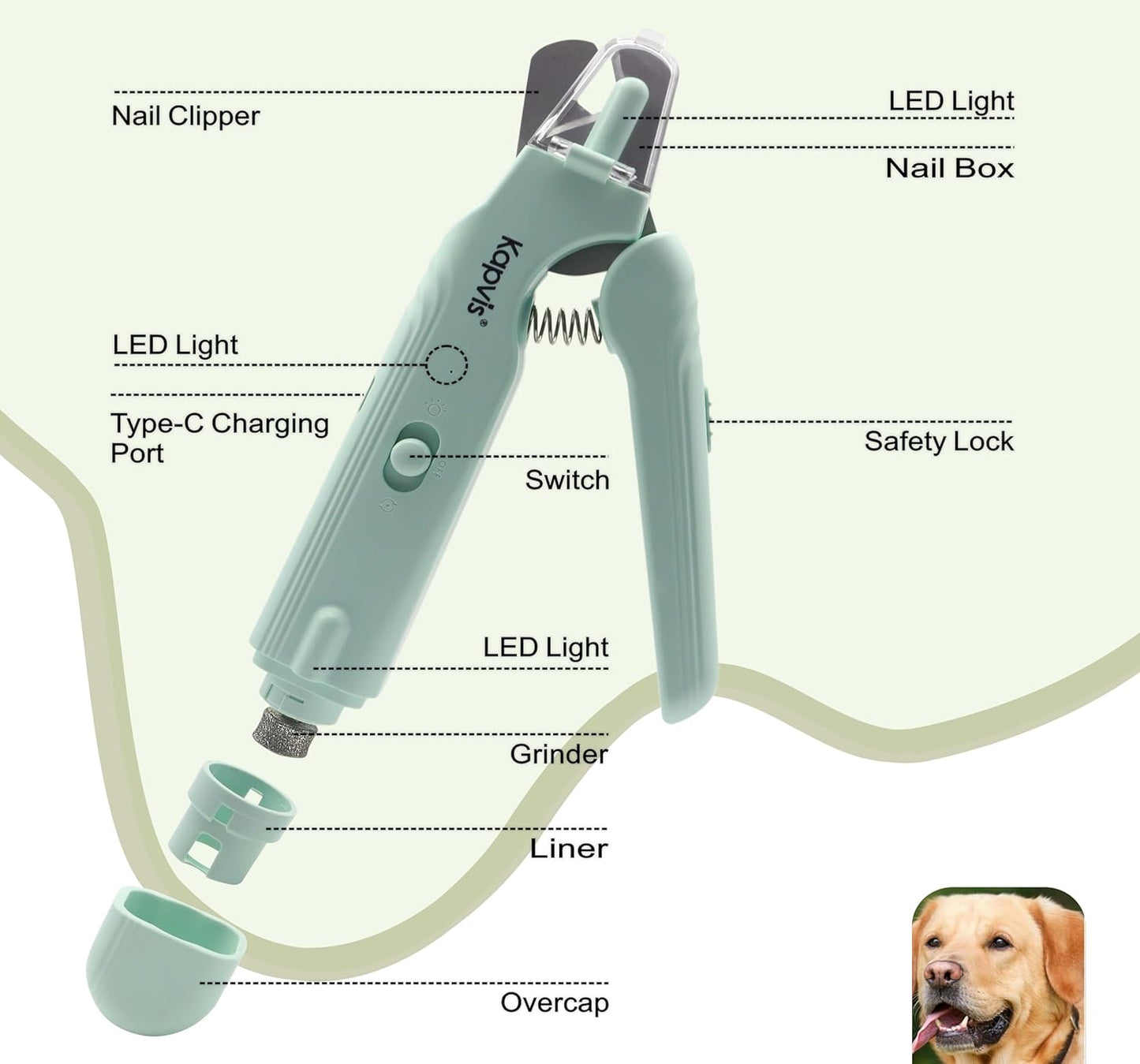 2-in-1 Dog Nail Trimmers & Dog Nail Grinder with LED Lights,Cat Nail Clipper with Guard,cat Nail Trimmer for Large Medium Small Dogs Cats Claw Trimmer Quick Sensor and Safety Guard