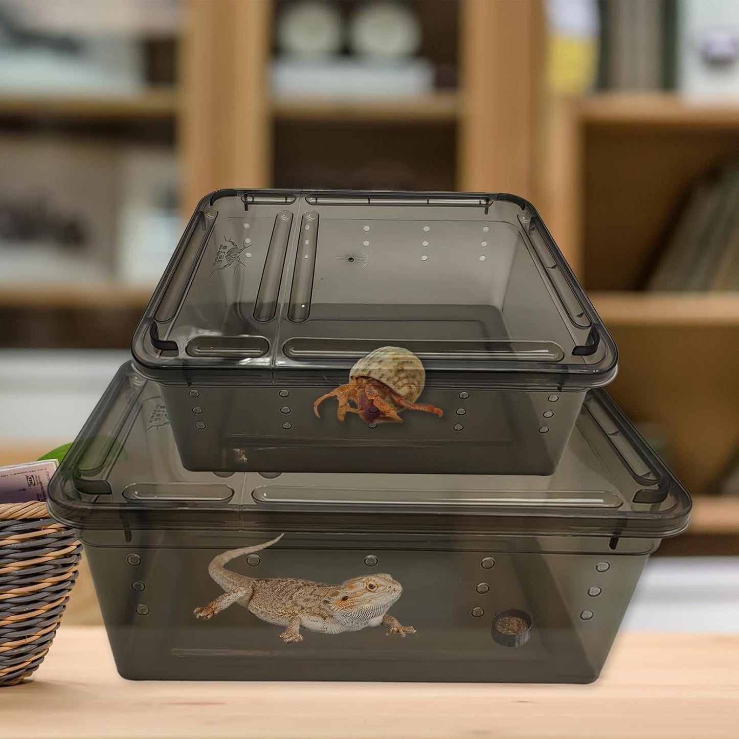 PINVNBY 8 PCS Reptile Feeding Box Portable Snake Breeding Box Lizard Cage Hatching Container 7.48"x4.92"x2.95" Transparent Plastic Pet Houses for Spider Scorpion Gecko Insect Tortoise Treefrog(Black)