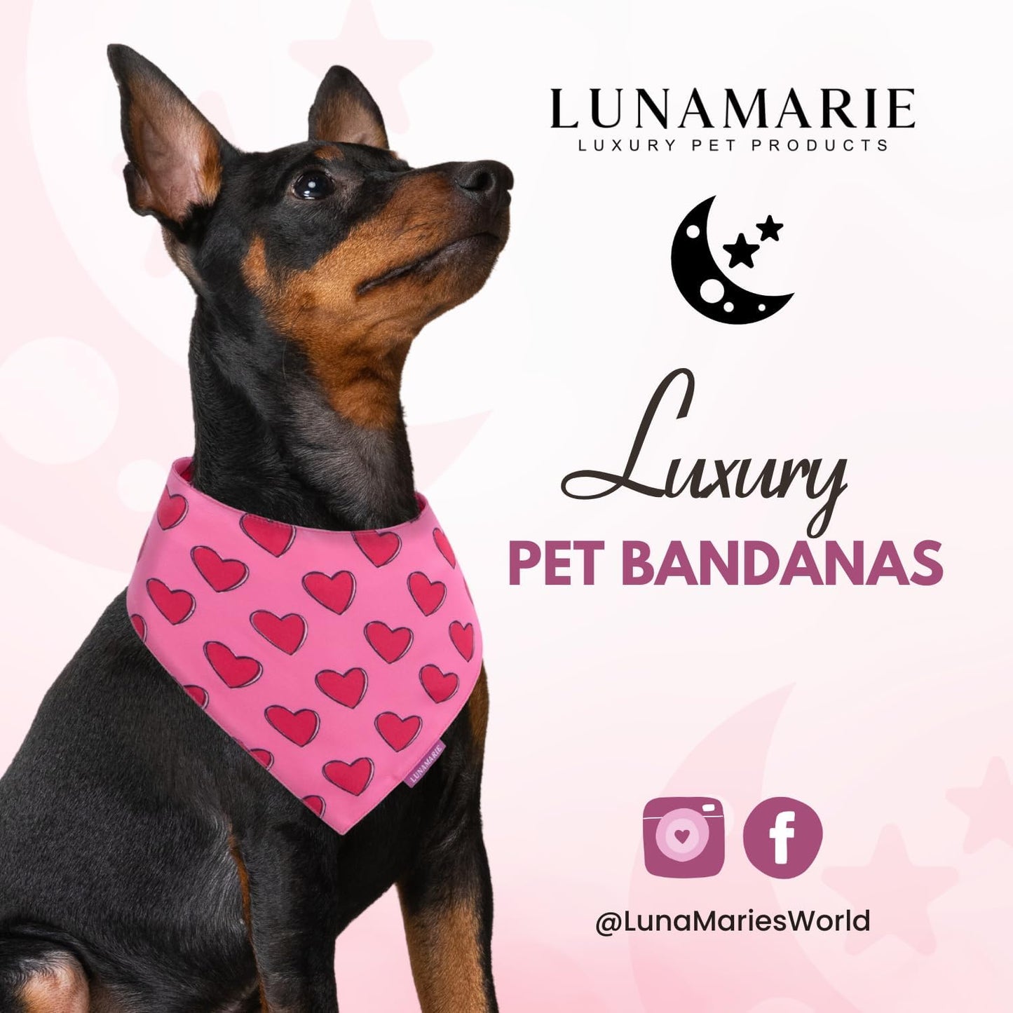 LunaMarie - Luxury Pet Birthday Bandanas -Premium & Silky Poly Fabric | 100% Handmade | Custom Shape Dual Layered (Jennifer, Medium)