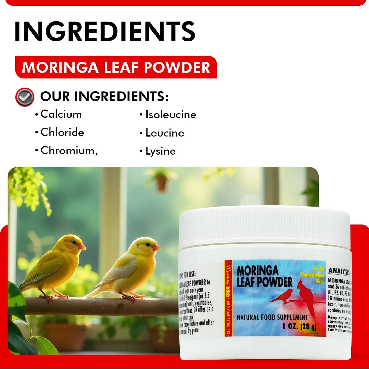 Morning Bird Moringa Leaf Powder 1 oz – Natural Food Supplement for Birds, Rich in Vitamins & Minerals, Boosts Immune System & Energy, Supports Healthy Feathers, Digestion, and Overall Avian Wellness