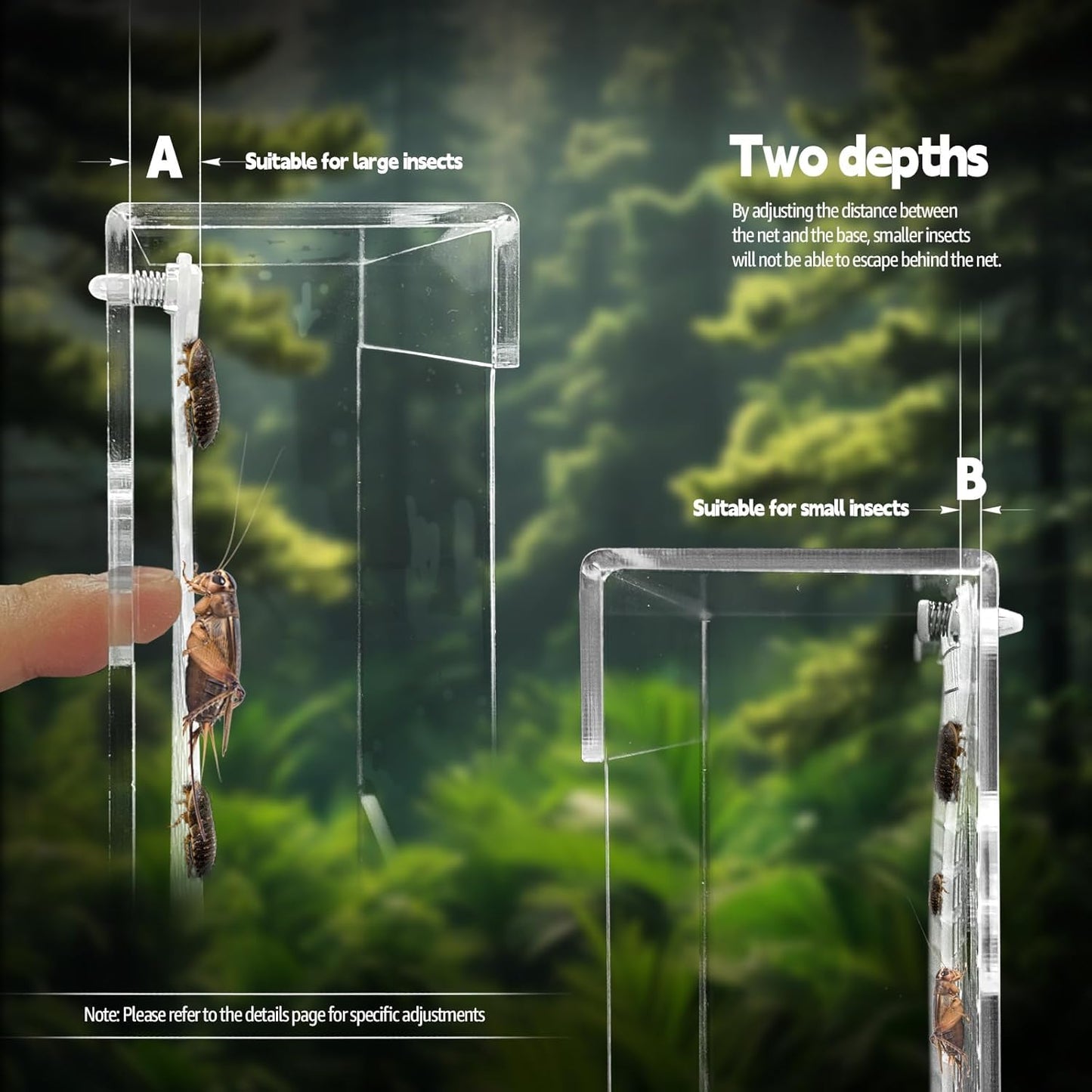 Bearded Dragon Feeder, Transparentk Acrylic Reptile Feeder Box, Chameleon Bug Bowl, Wall-Mounted Insect Feeder with Suction Cups, Tank and Aquarium Accessories for Lizard Bearded Dragon Frog