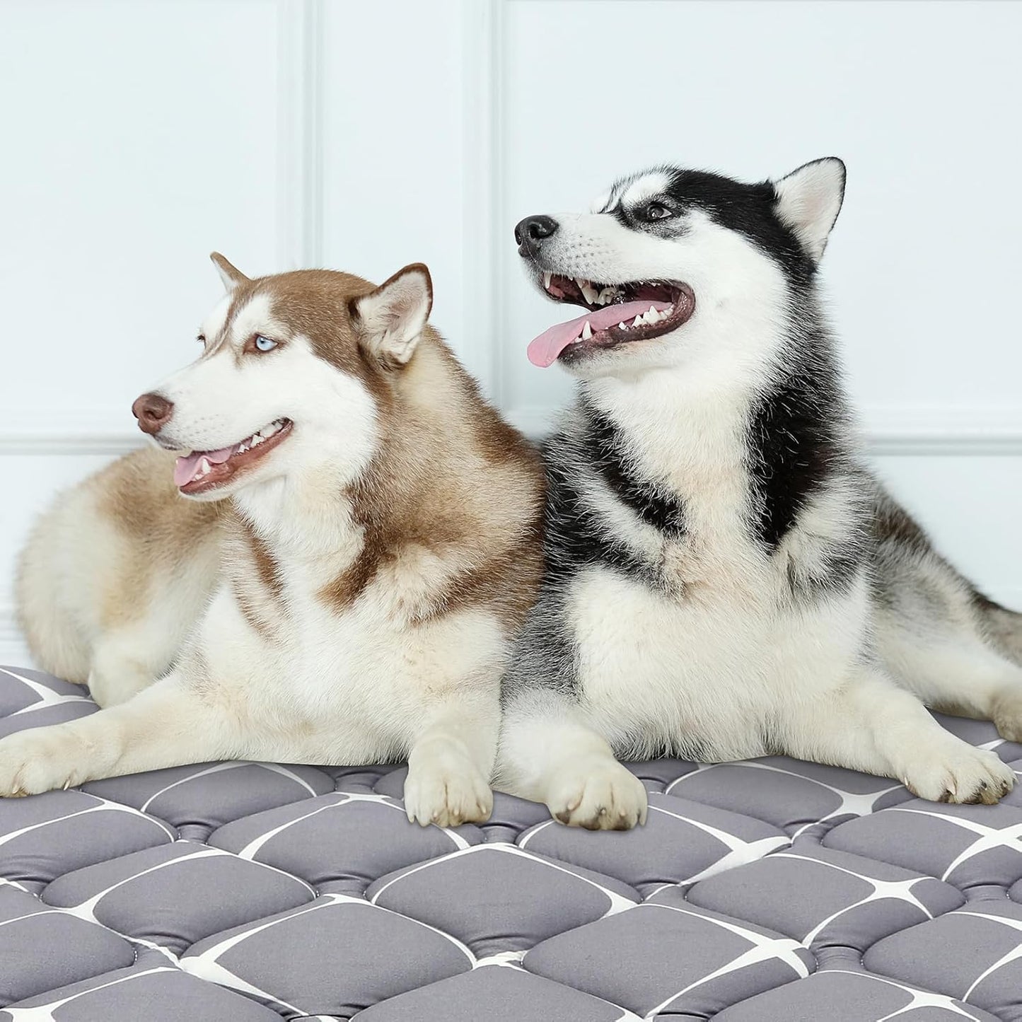 Bubble bear Dog Crate Mat - Ultra Soft, Washable & Anti-Slip Kennel Pad for Small/Medium/Large Dogs, Dark-Hued to Hide Stains (42"x28")