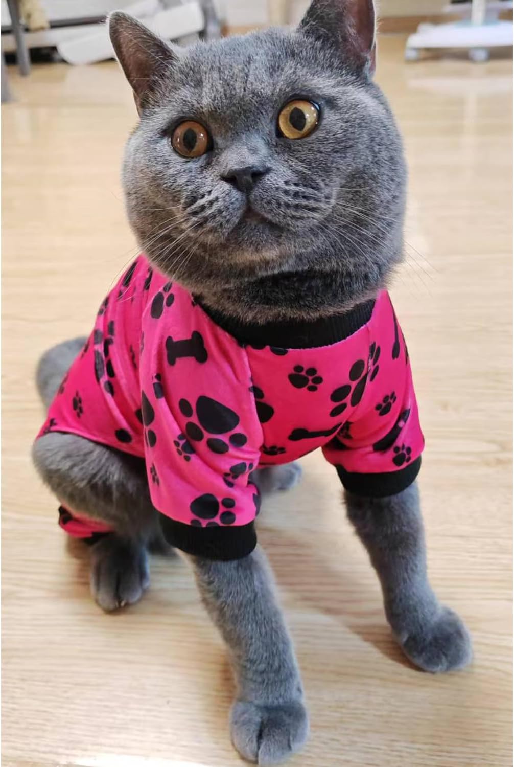 PET SHOW 4 Pack Small Dog Pajamas Paw Bone Patterns Cute Clothes for Medium Dogs Soft Fleece Stretchy PJs 4 Legged Jumpsuit Puppy Cats Onesies Outfits with Sleeve Dachshund Doggies Girl Boy (X-Large)