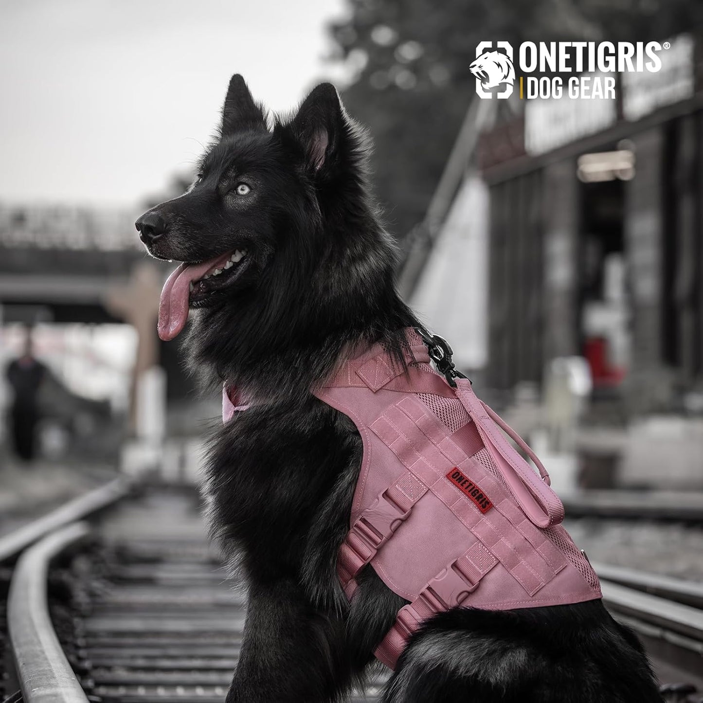 OneTigris Tactical Dog Harness for Small Dogs, No Pull Small Dog Vest Harness with Handles Breathable Military Dogs Molle Vests, Harness for Walking Hiking Training (Pink, XS)