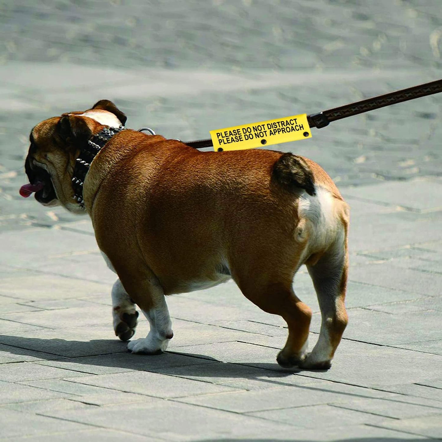 Funny Dog Leash Sleeve Please Do Not Distract Please Do Not Approach Dog Leash Wrap Sleeve (Not Distract Not Approach-YE Sleeve)