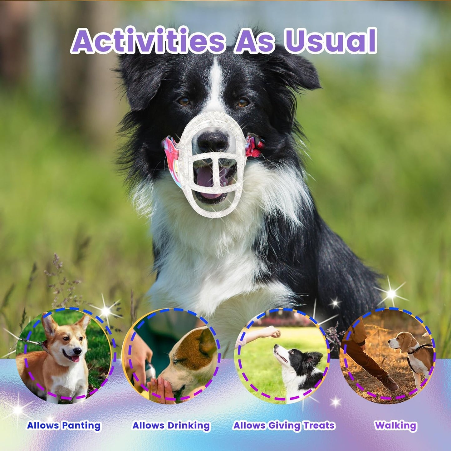 Basket Muzzle - Anti Biting Chewing, Sturdy Lightweight Allows Panting Drinking, Suitable for Grooming Trimming Training - Transparent, Size 5