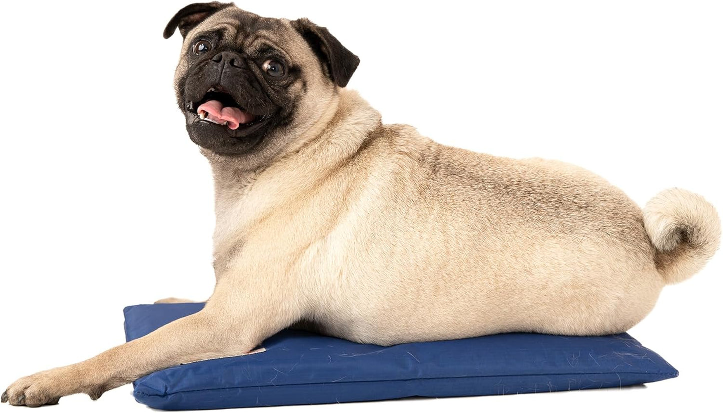 Dog Cooling Pad Dog Cooling Products Hydro Cooling Mat (18"x10.5") (Mini)