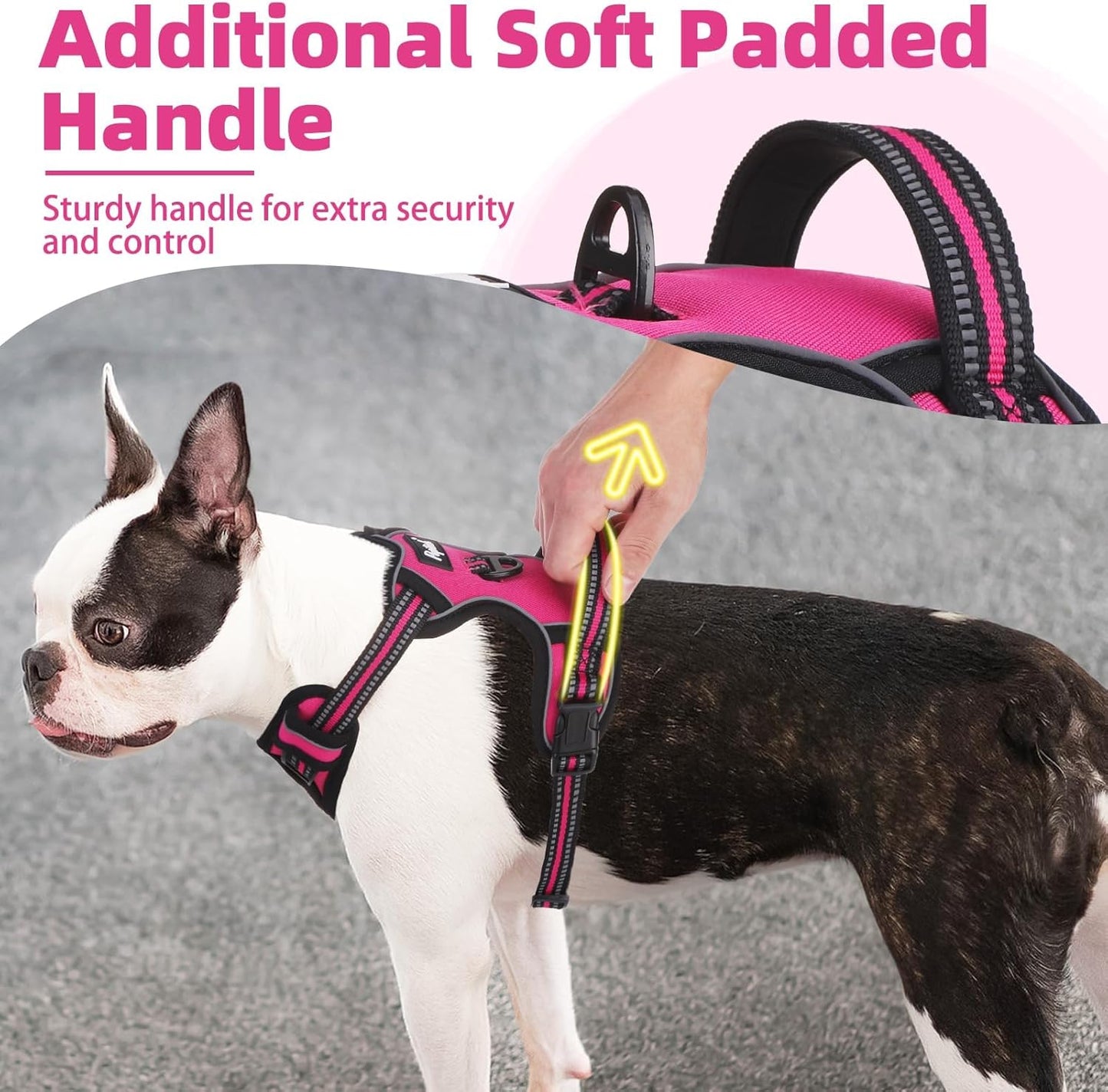 PUPTECK No Pull Dog Harness Medium Sized, Adjustable Reflective Dog Harness with Handle Easy Control, Comfortable Soft Padded Pet Vest Harness for Medium Dogs, Fuschia M