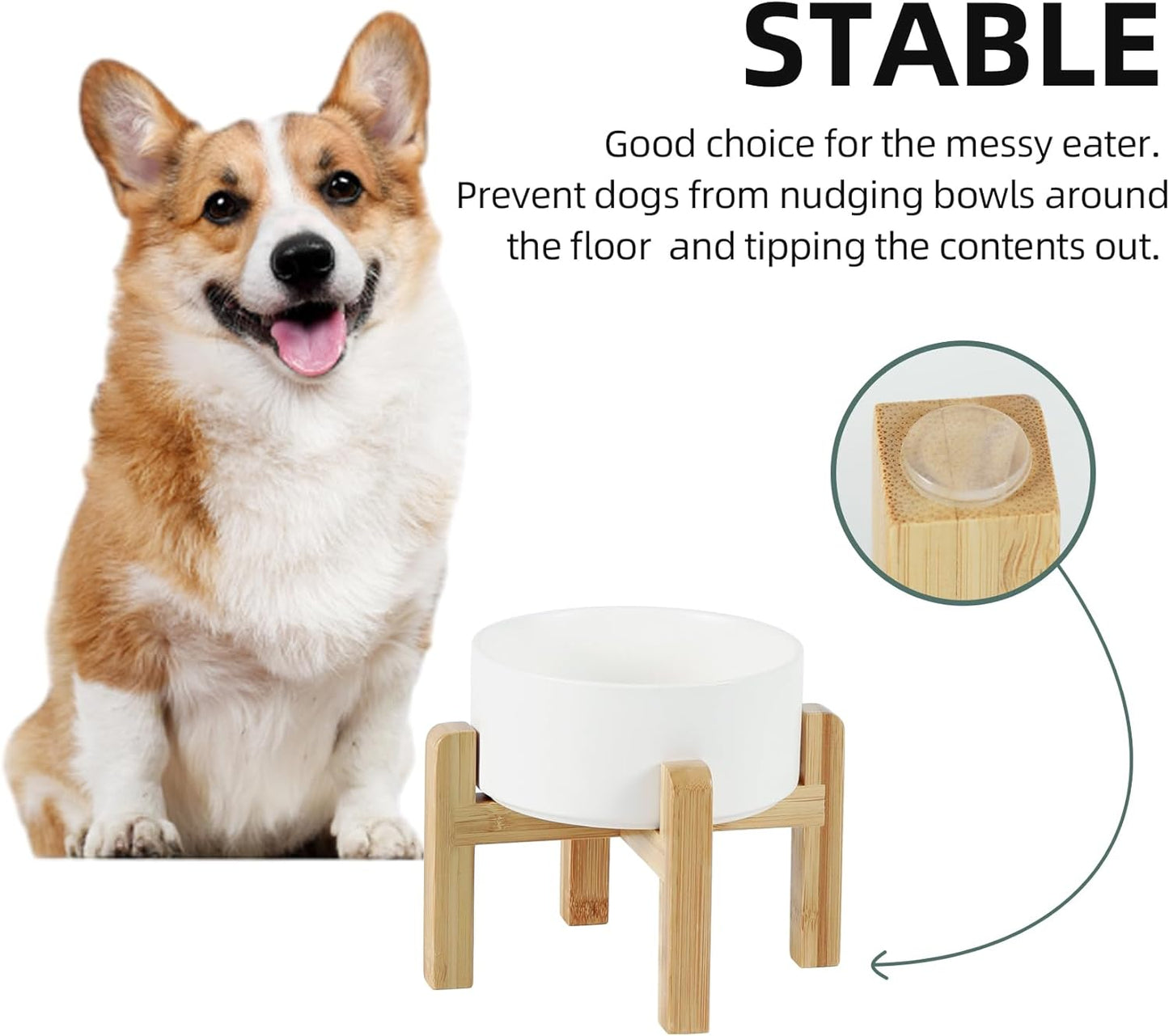 Ceramic Raised Dog and Cat Bowl Set, 2 Heights Elevated Stand, Food and Water Bowl for Small Breed Dogs, Weighted Dog Dishes, Pet Bowl(6.1'',28.7oz, White)