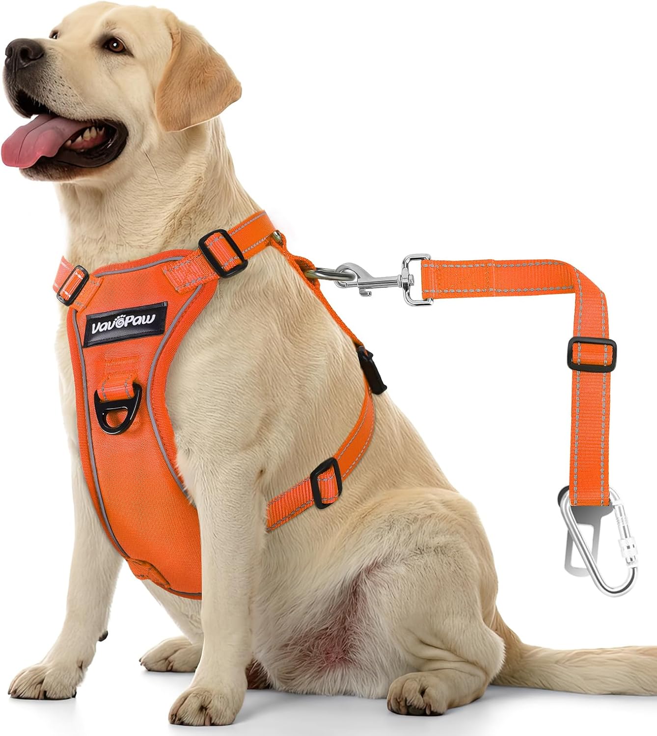 Dog Seat Belt Harness for Car, Dog Car Harness Adjustable Mesh Breathable & Dogs Seatbelt Safety Tether with Elastic Bungee for Small Medium Large Pets(Orange, XL)